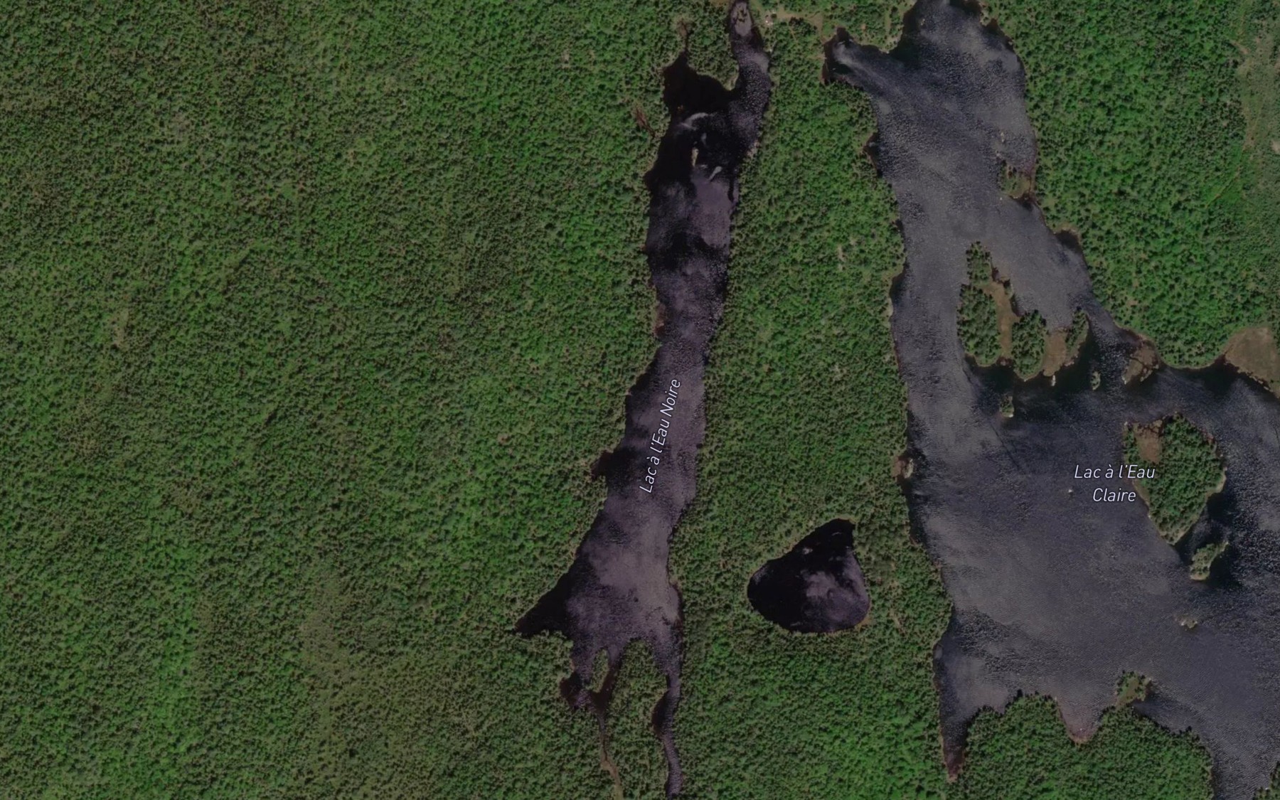 Satellite map of the Lac a l'Eau Noire