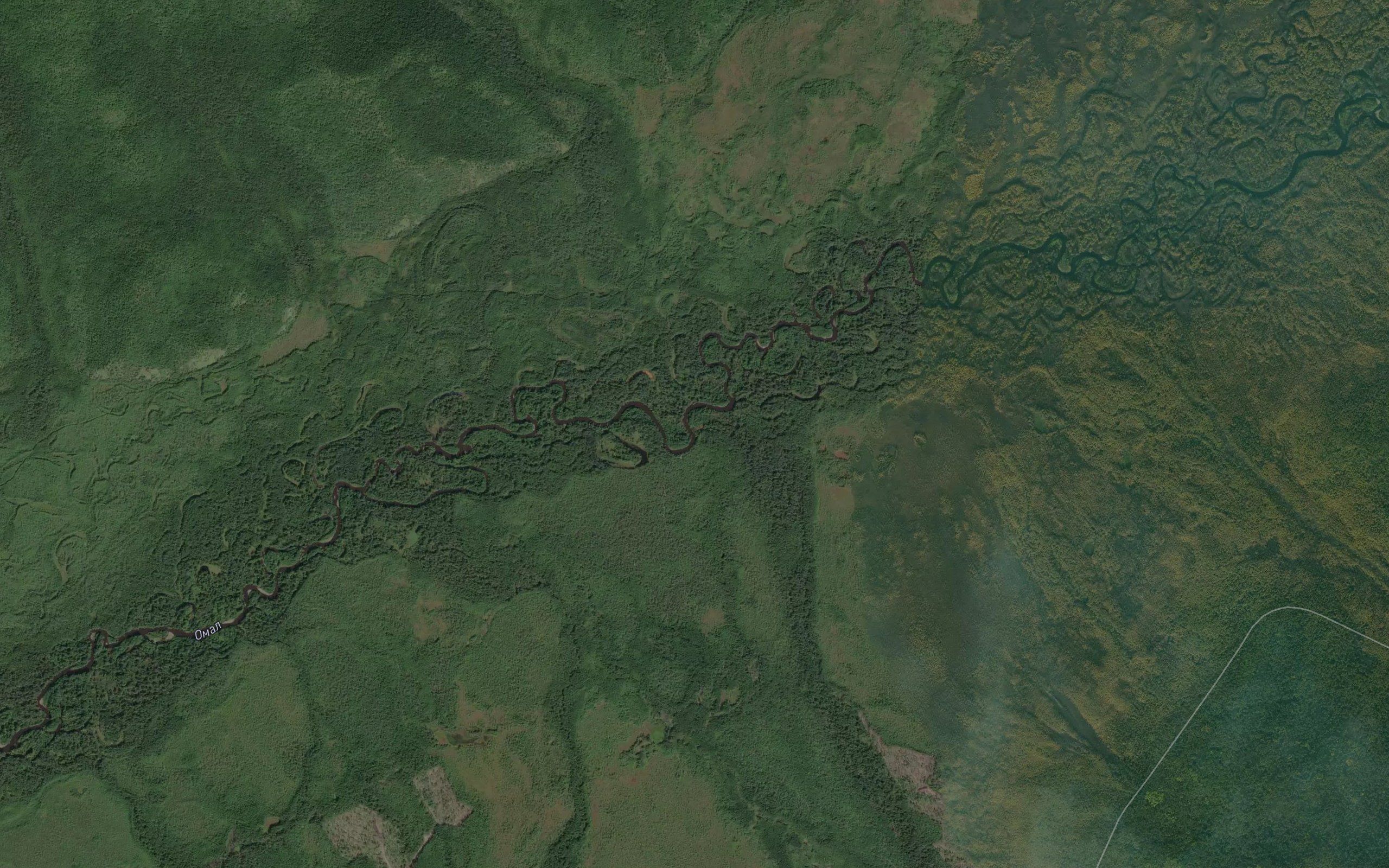 Snezhnyy