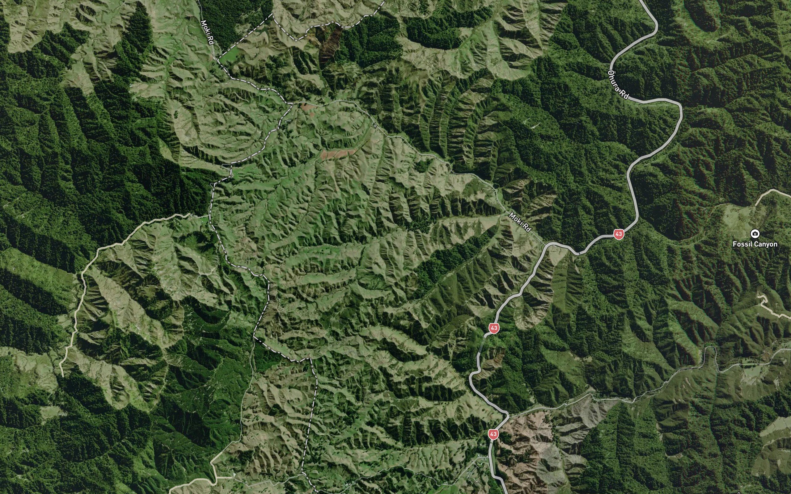 Waipukenui Stream