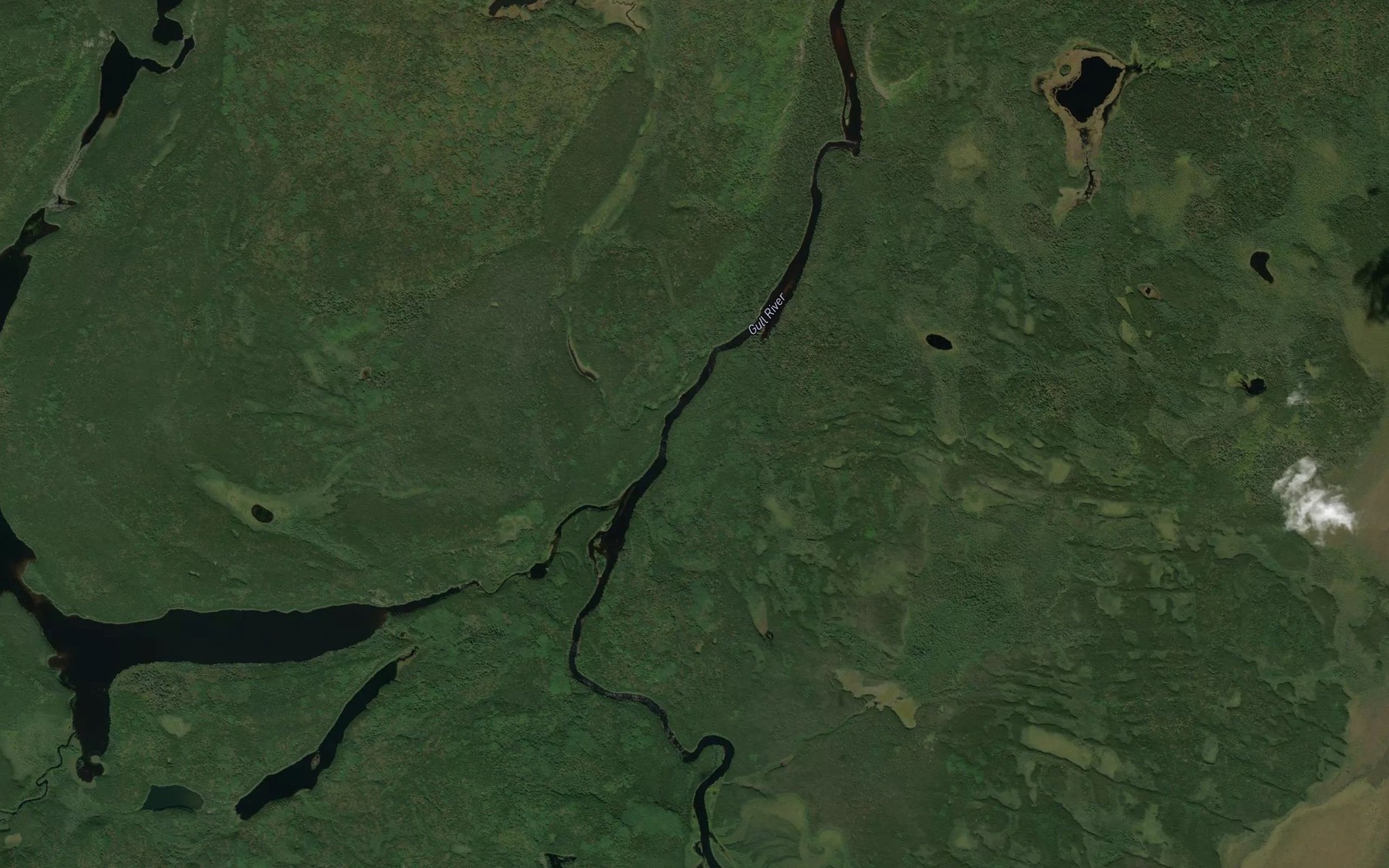 Satellite map of the Pantagruel Creek