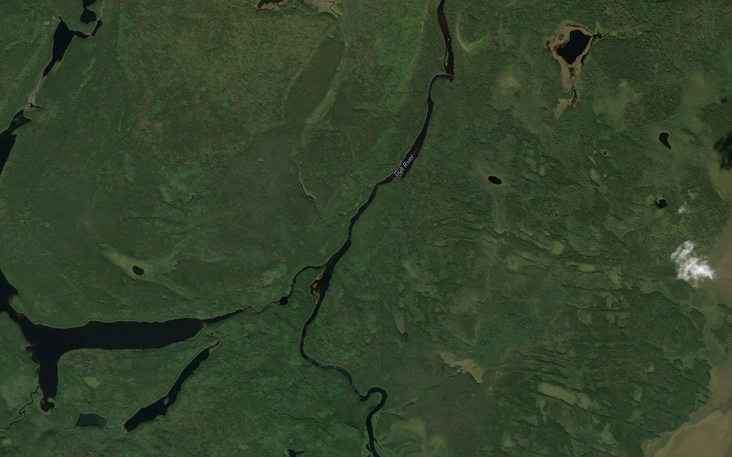 Pantagruel Creek