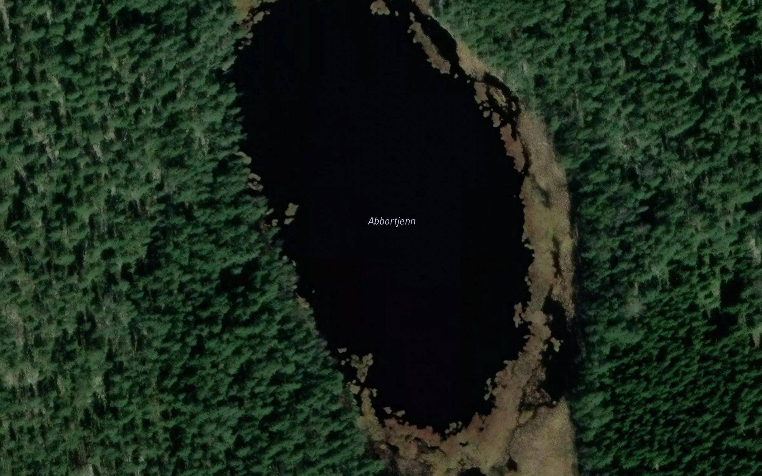 Abbortjern