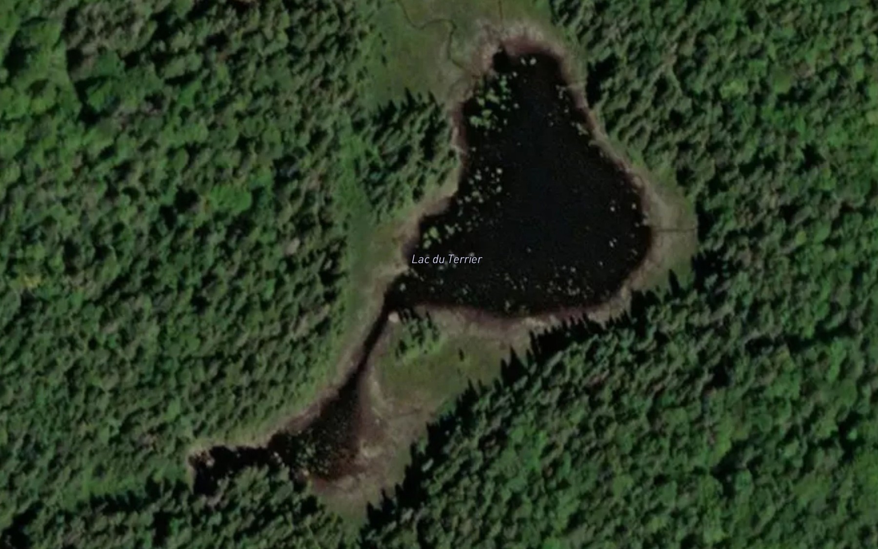 Satellite map of the Lac du Terrier
