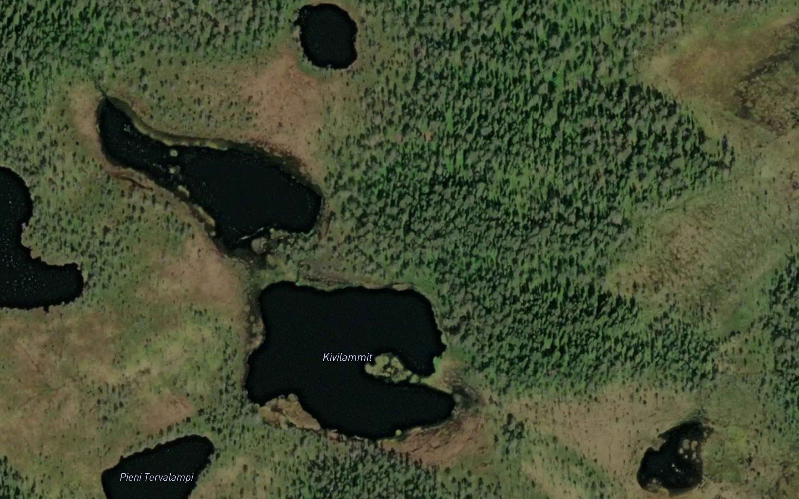Kivilammit