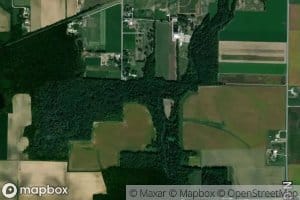 Lake Fork Special Ditch