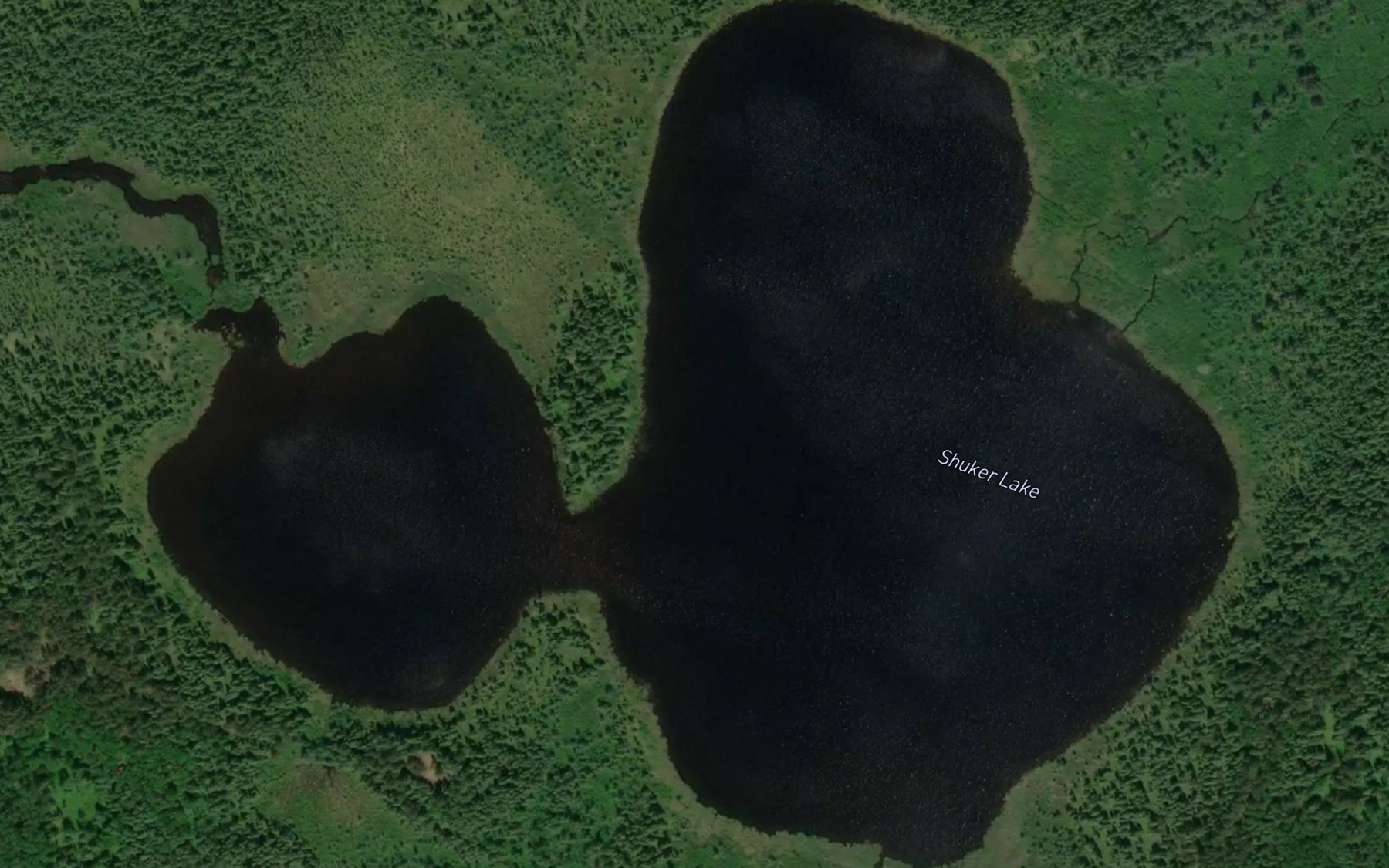 Satellite map of the Shuker Lake