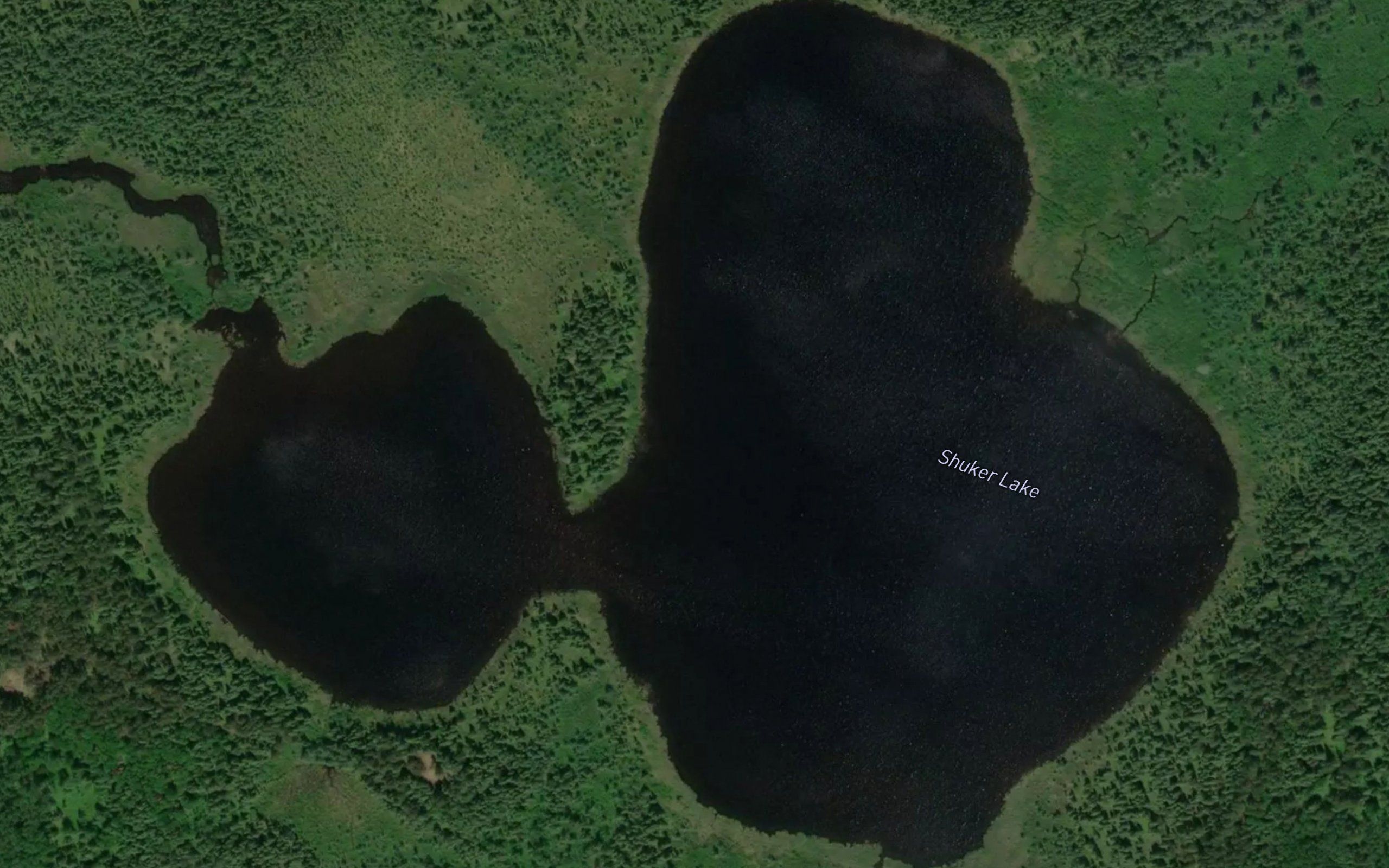 Shuker Lake