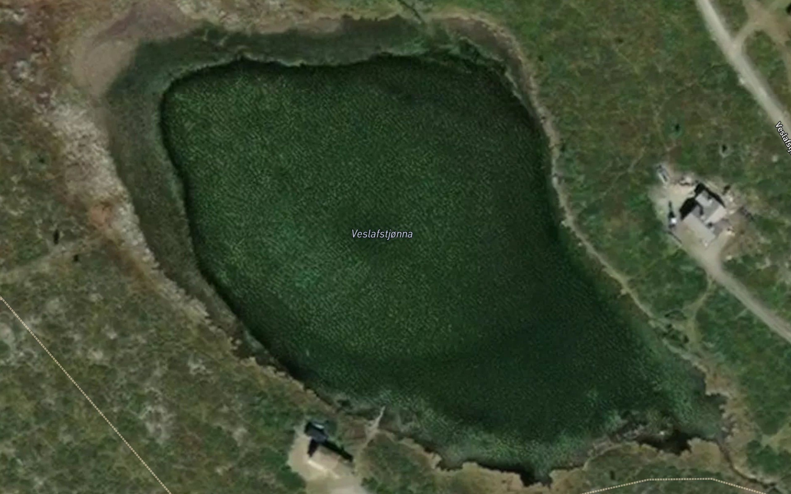 Veslafstjorna