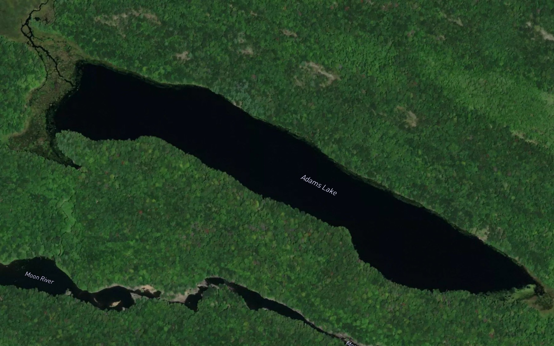 Satellite map of the Adams Lake