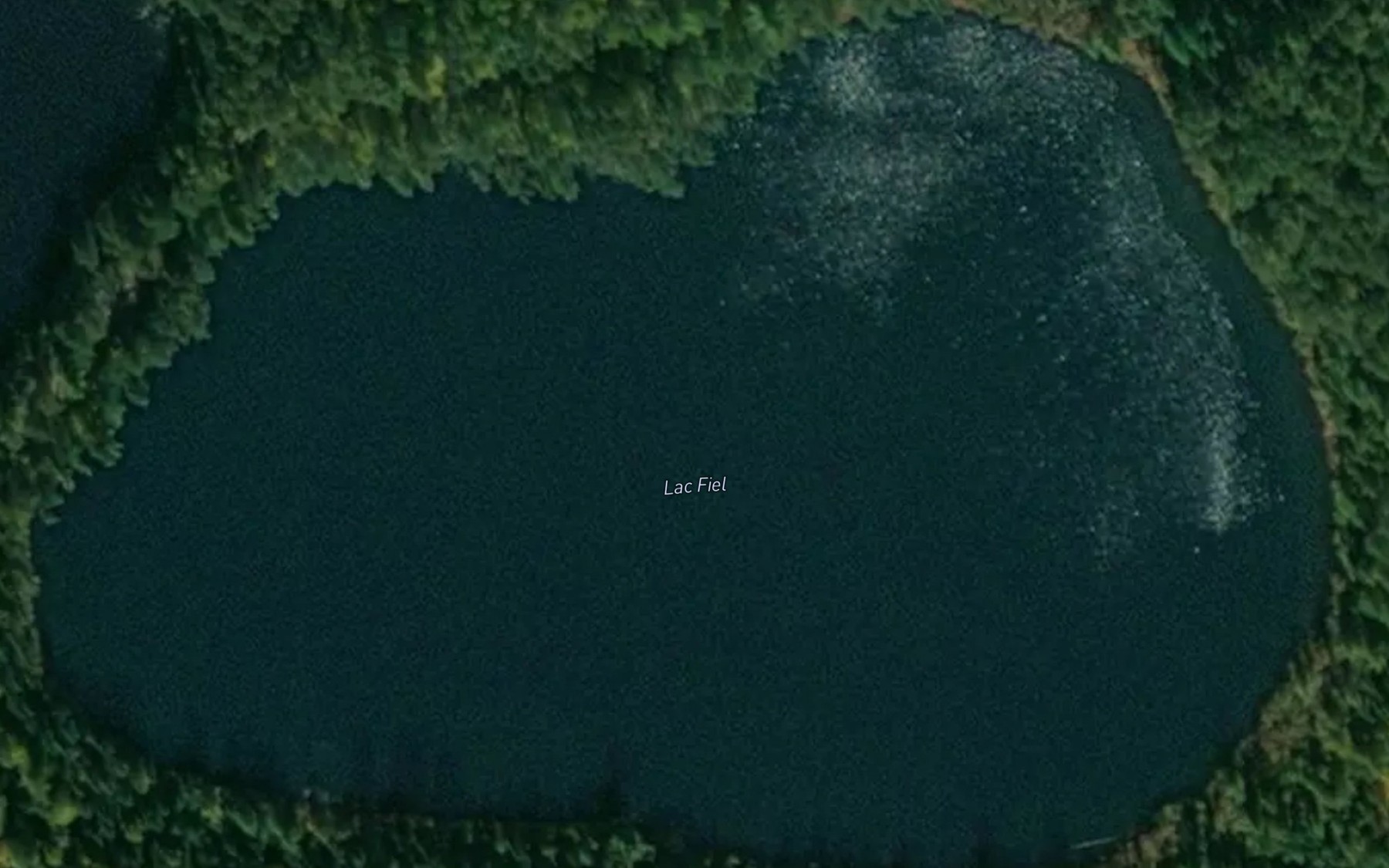Satellite map of the Lac Fiel