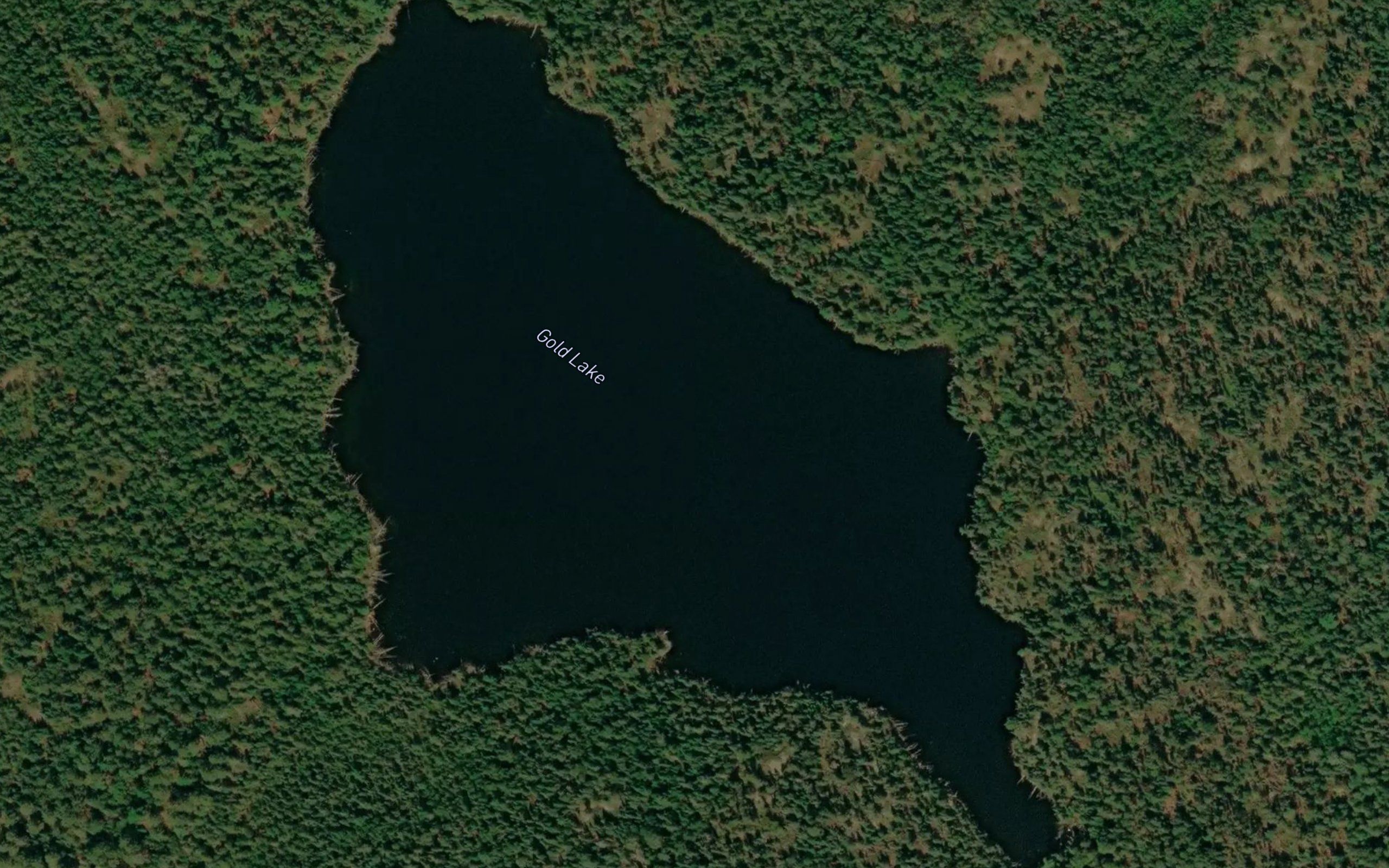 Gold Lake