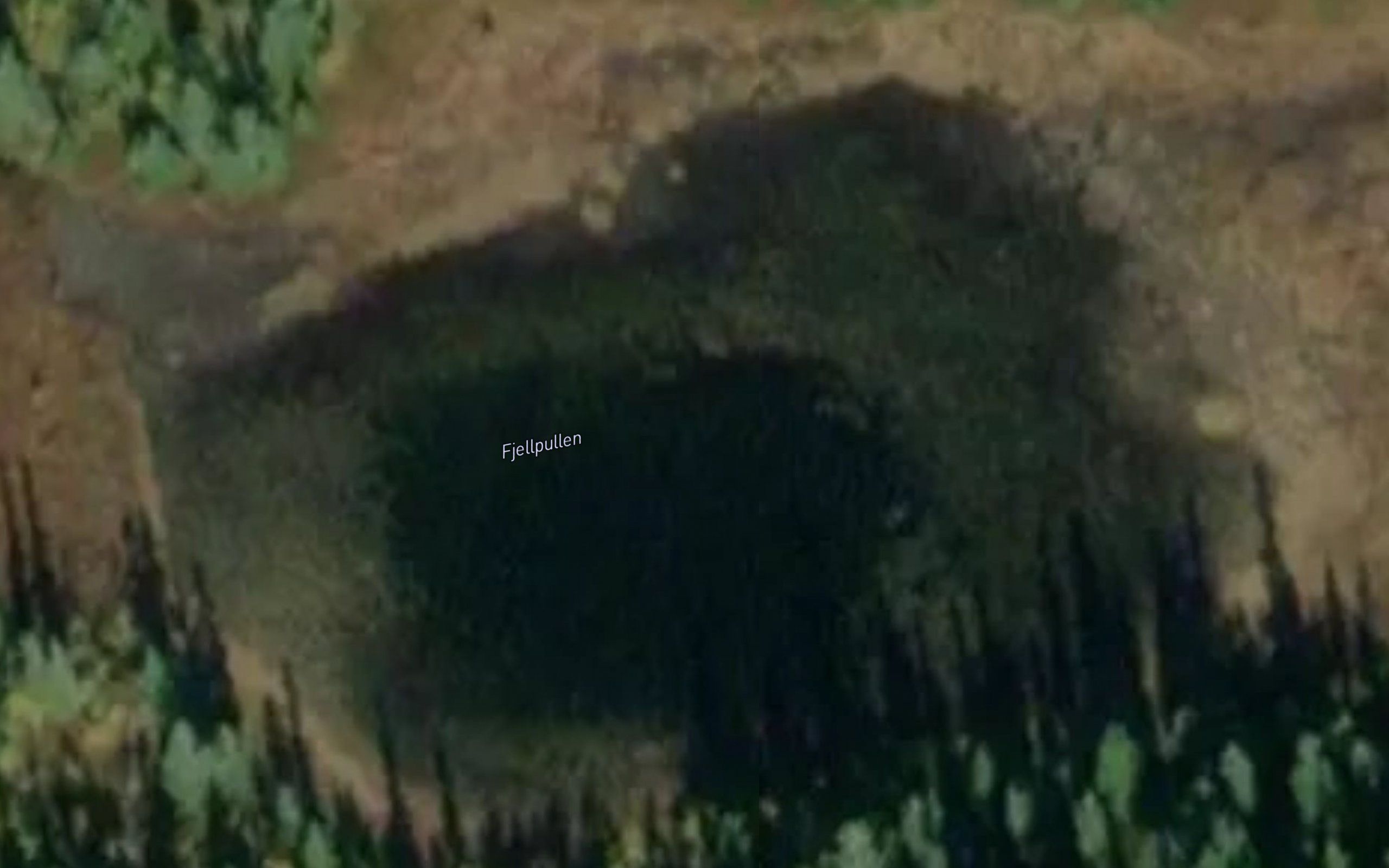 Fjellpullen