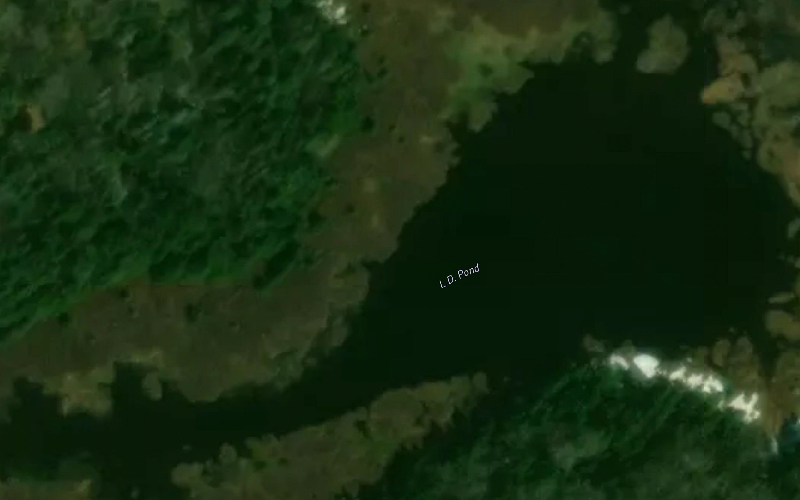 L-D Pond