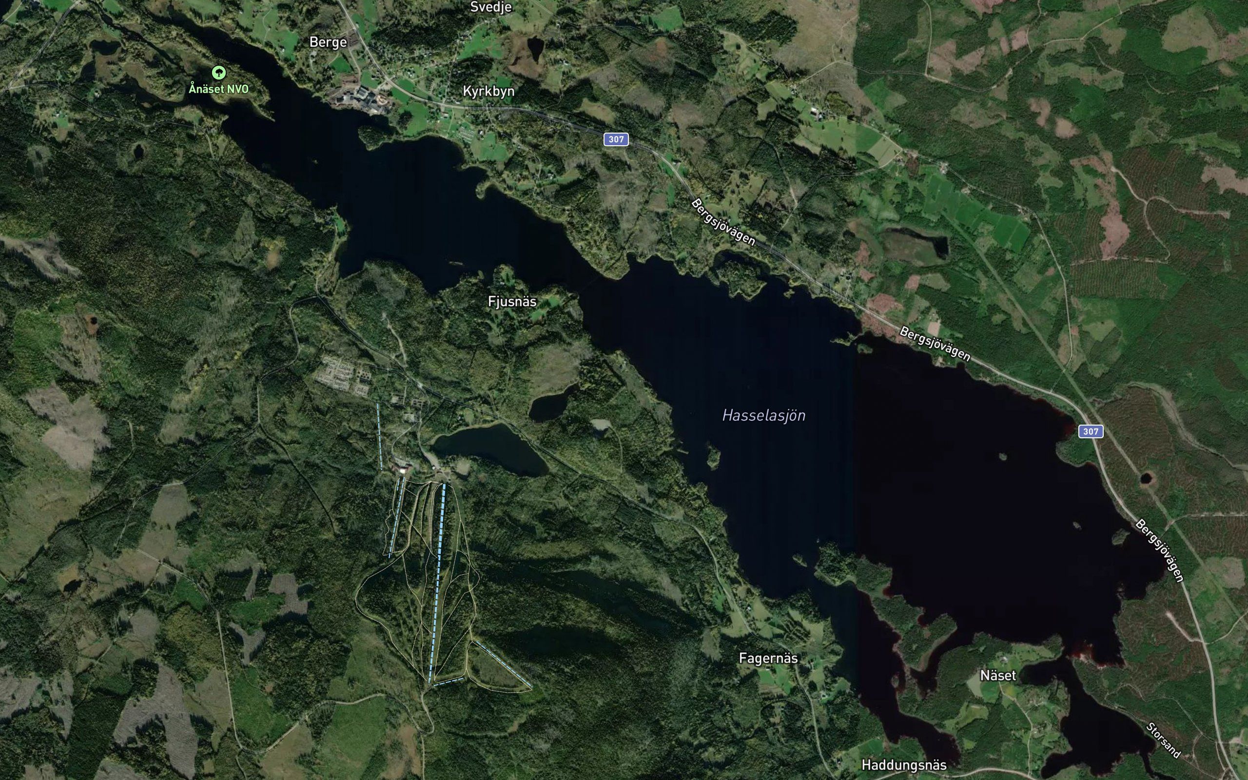 Hasselasjon