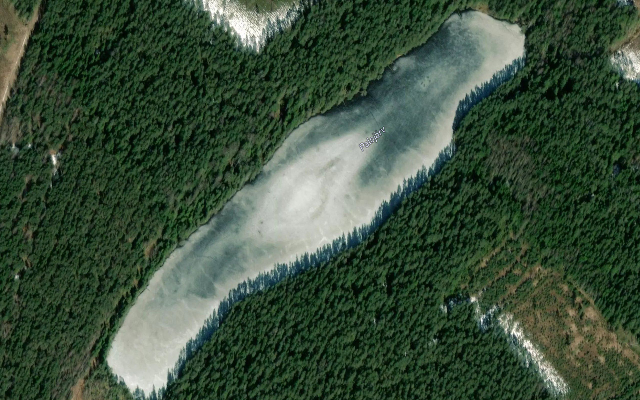 Palujarv