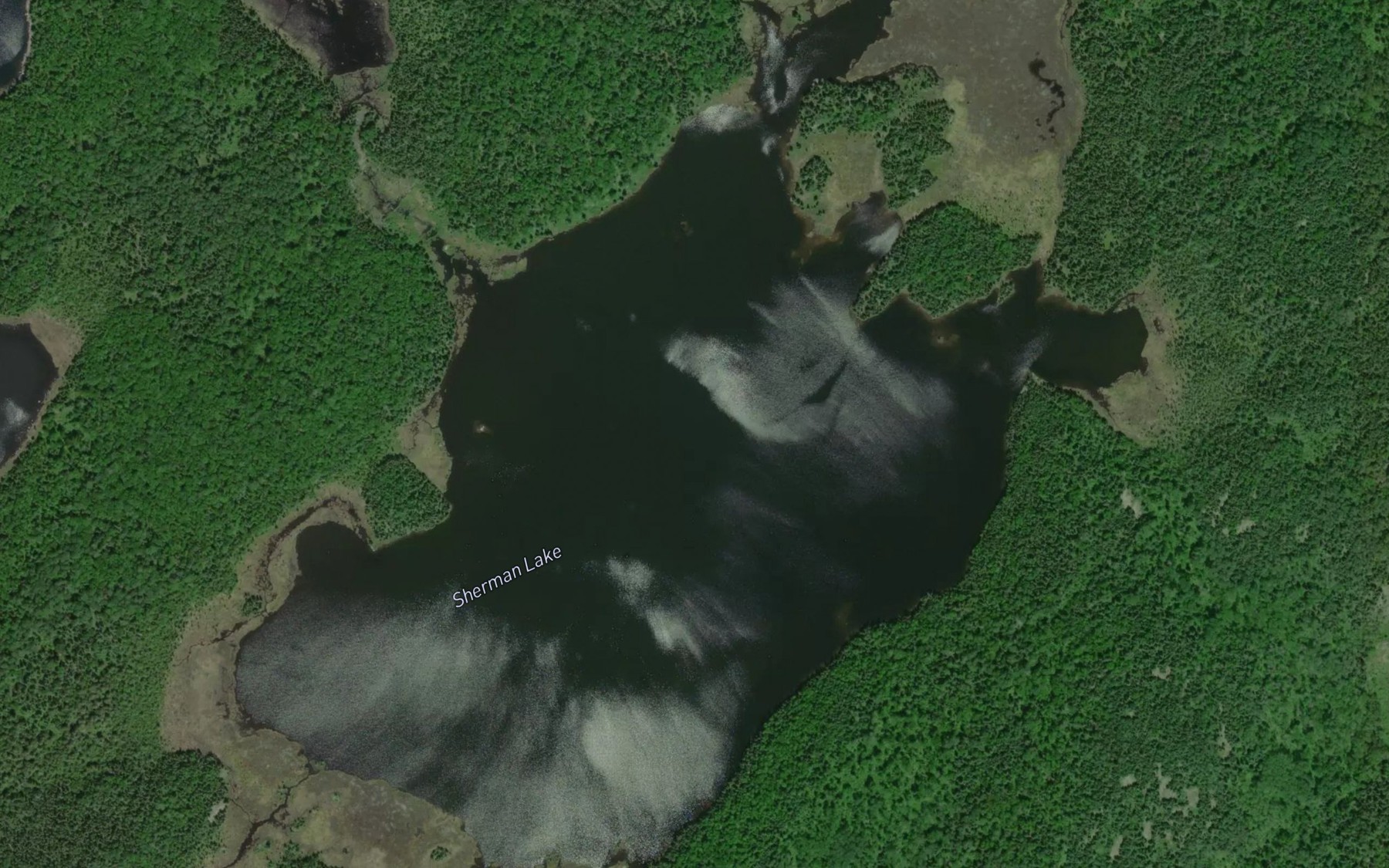 Satellite map of the Sherman Lake