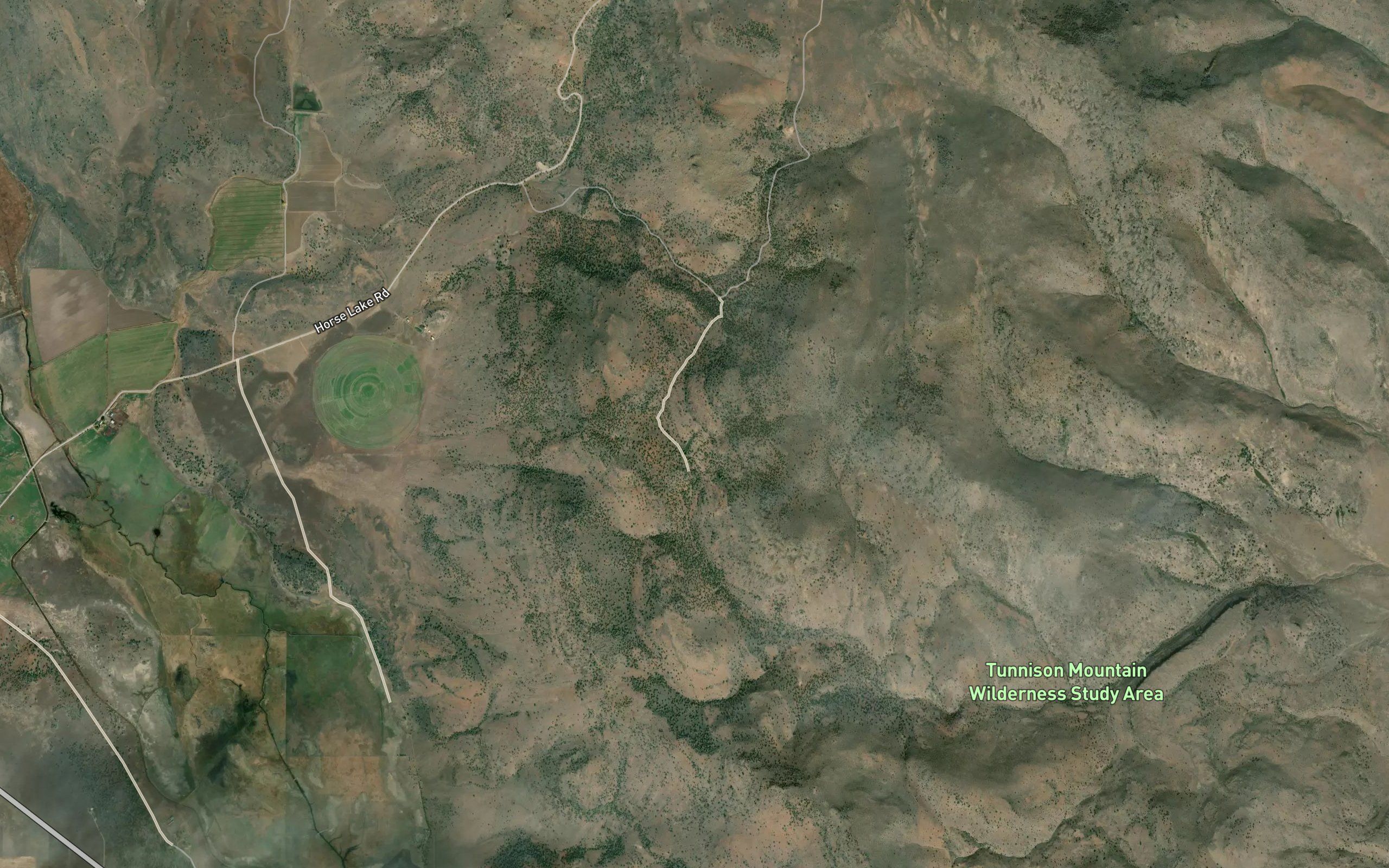 Animas Spring