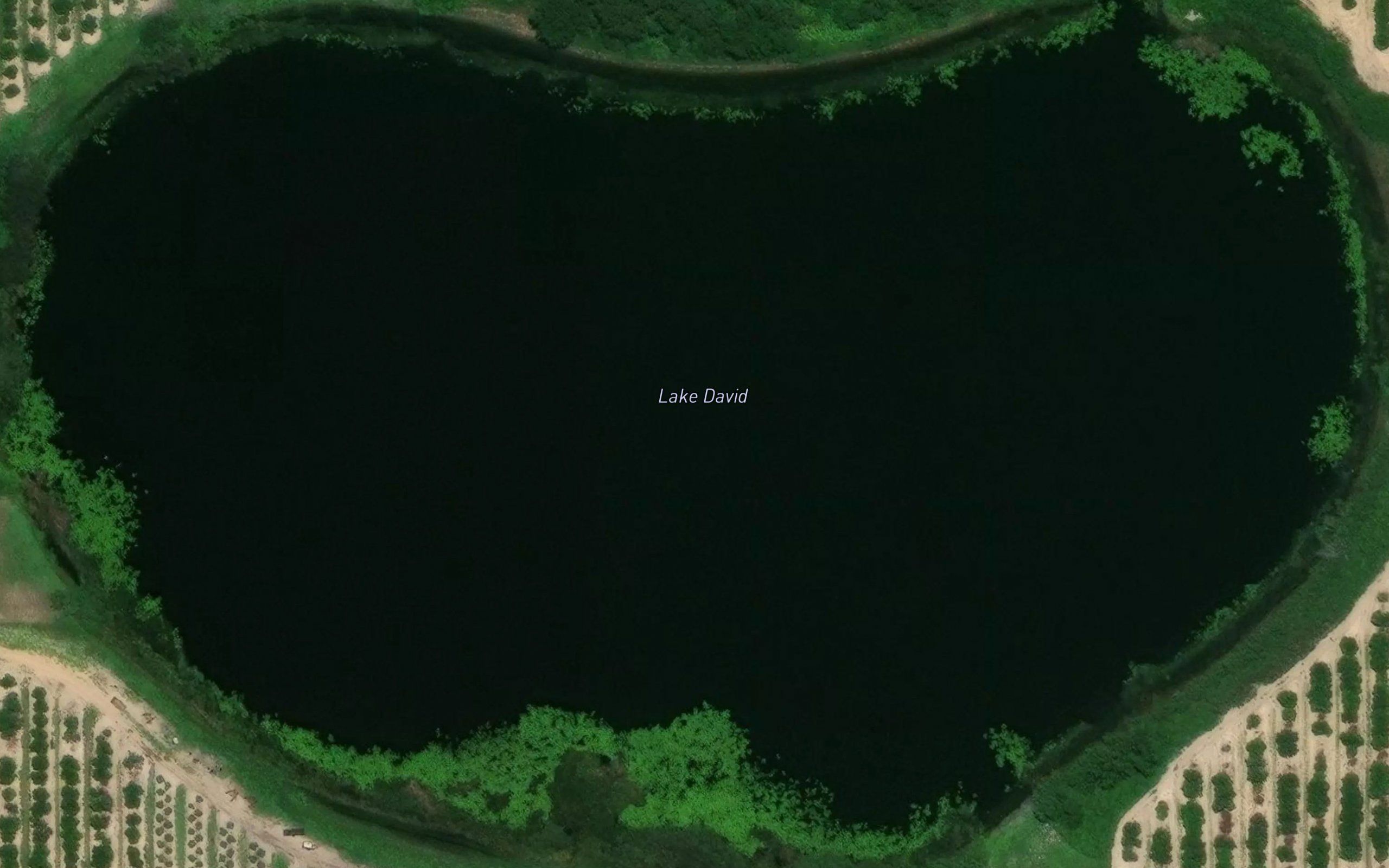 Lake David
