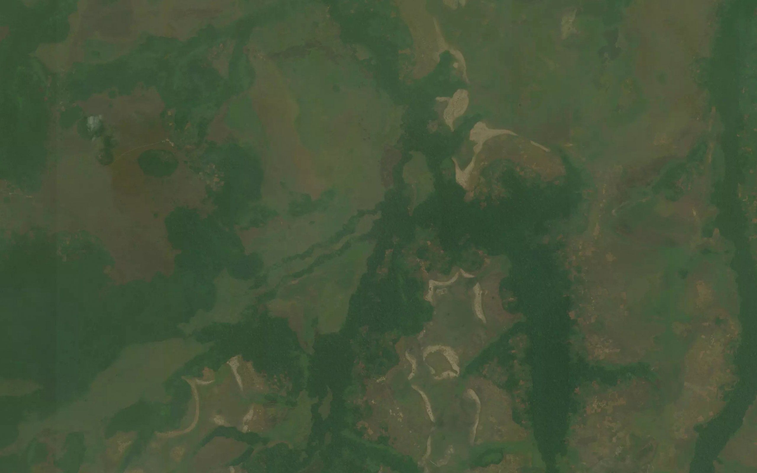 Lekele