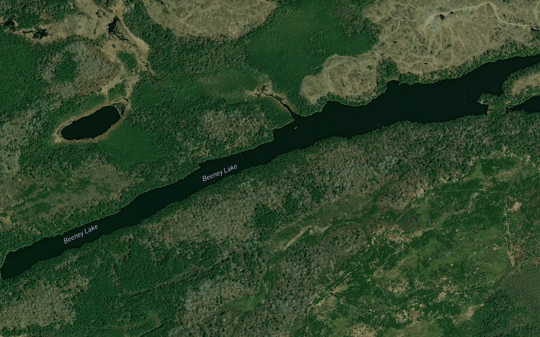 Satellite map of the Beeney Lake