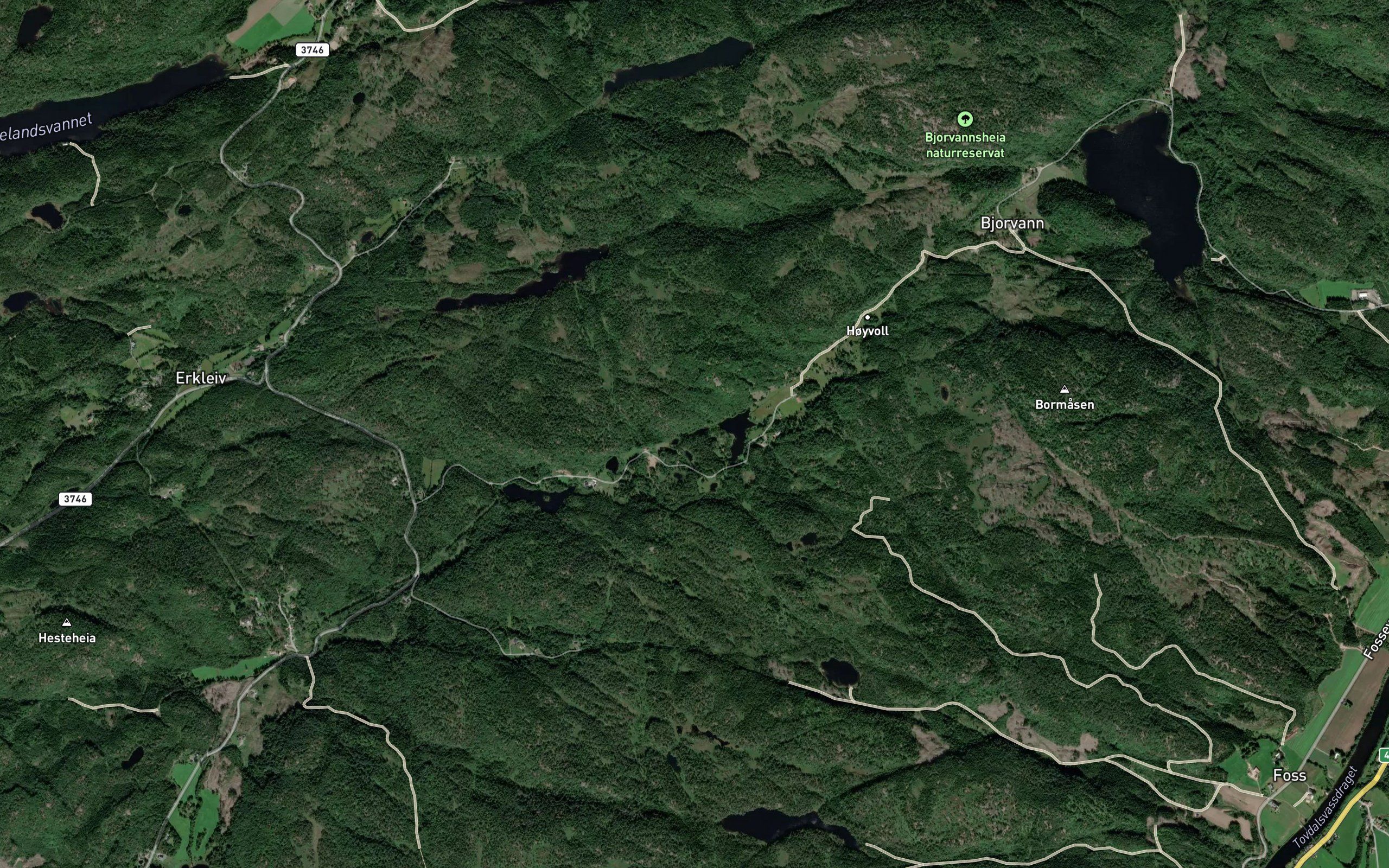 Folsvatnet