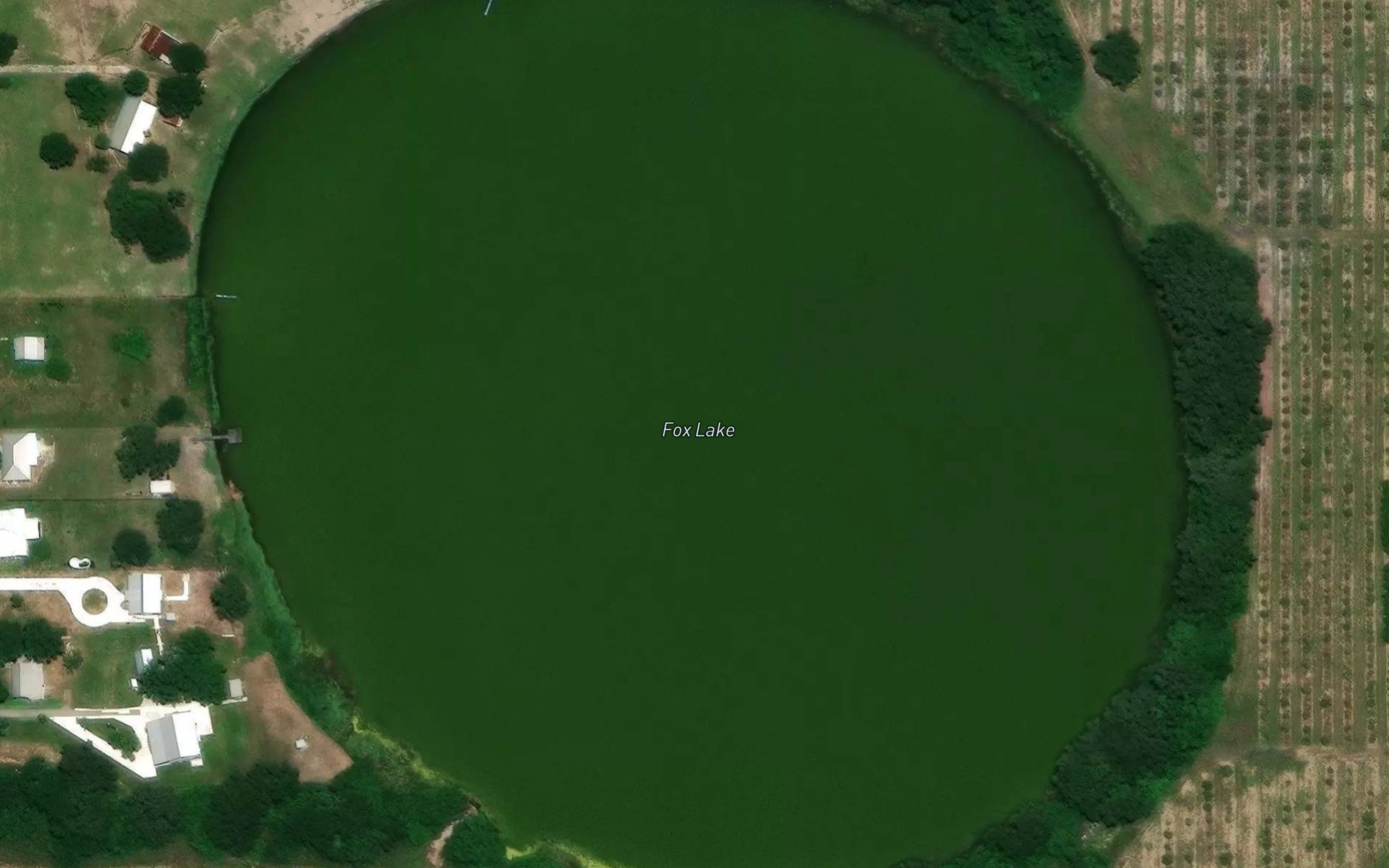 Fox Lake