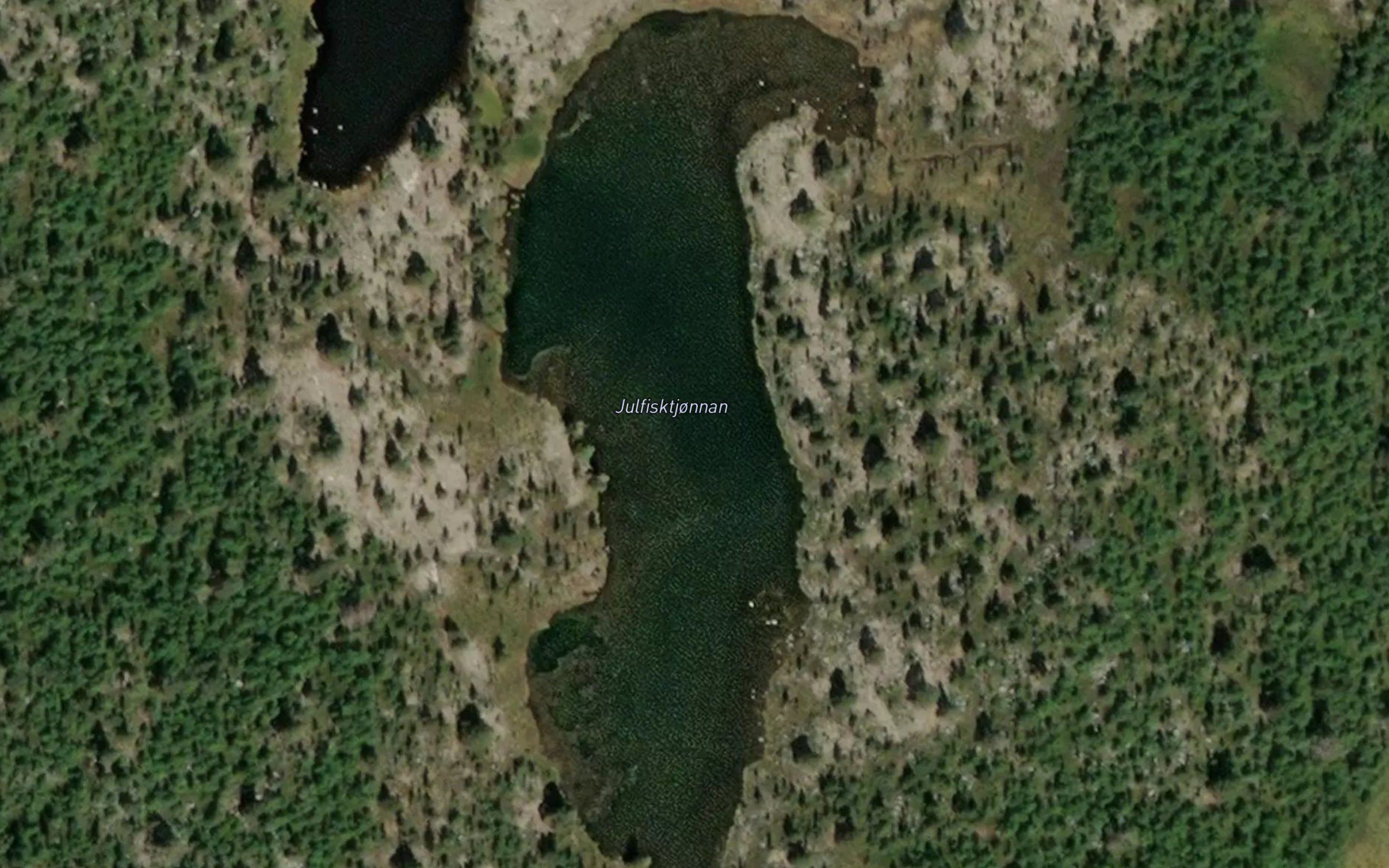 Julfisktjorna