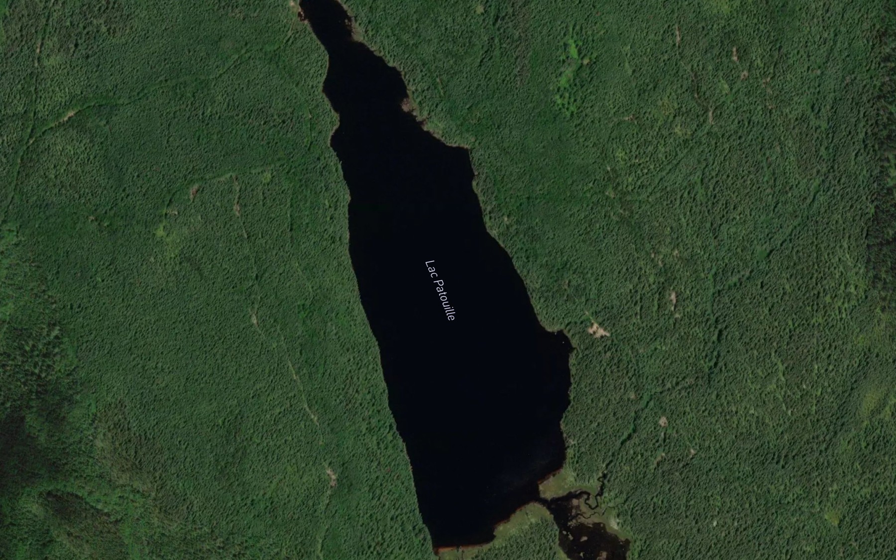 Satellite map of the Lac Patouille