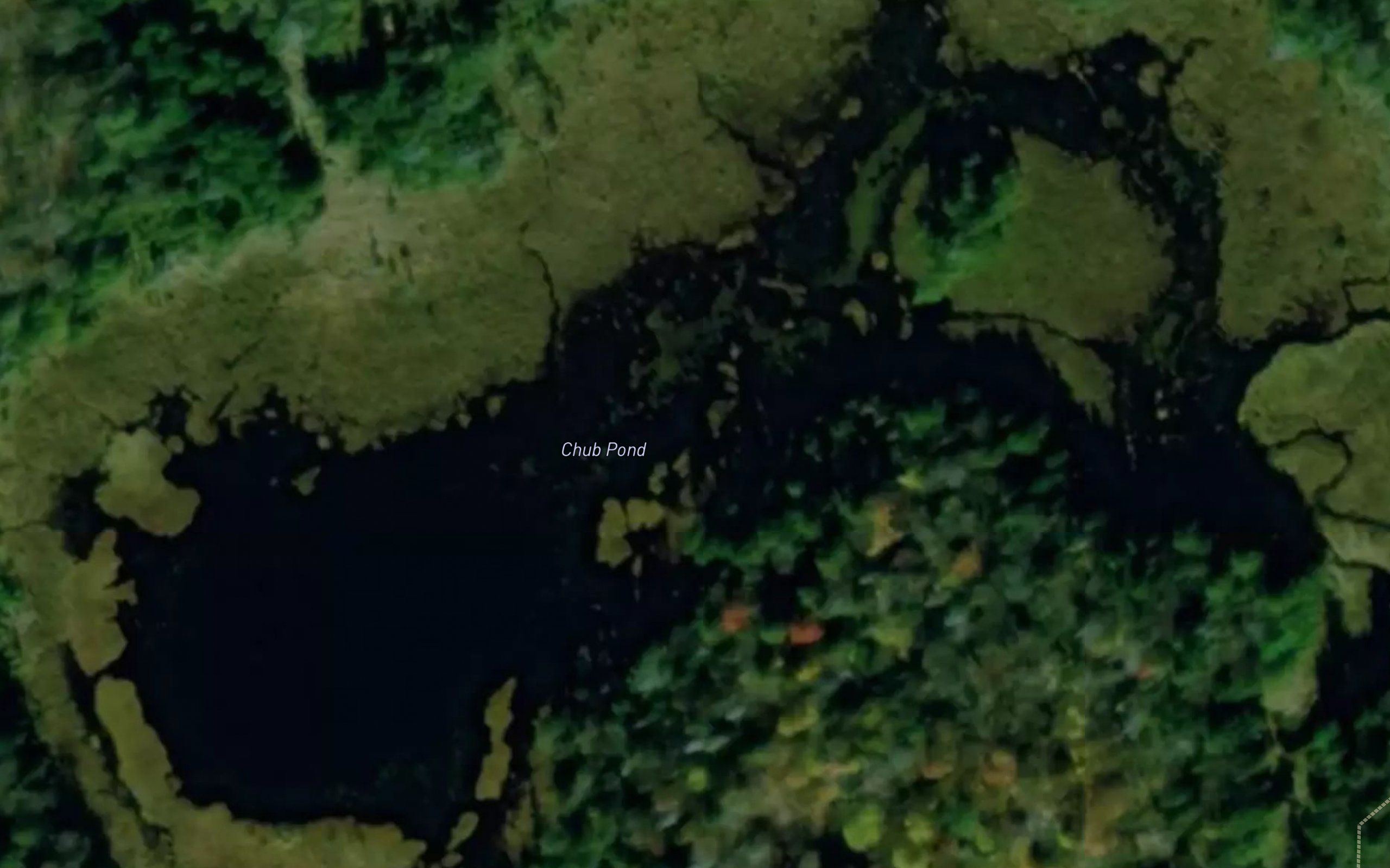 Chub Pond