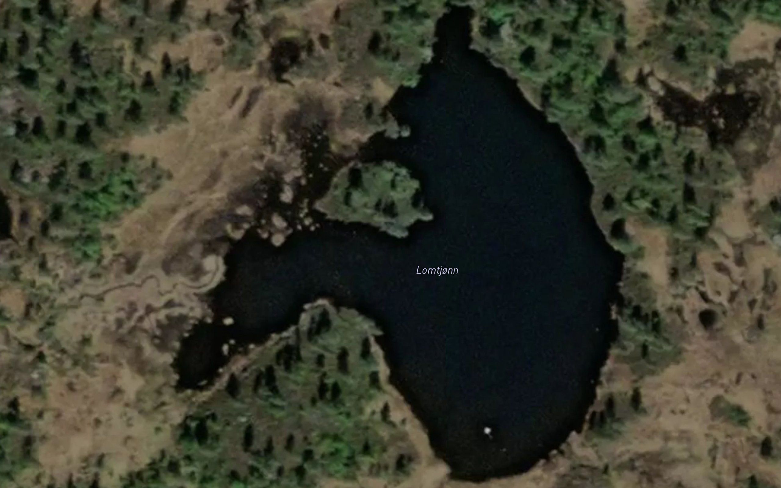 Lomtjonn