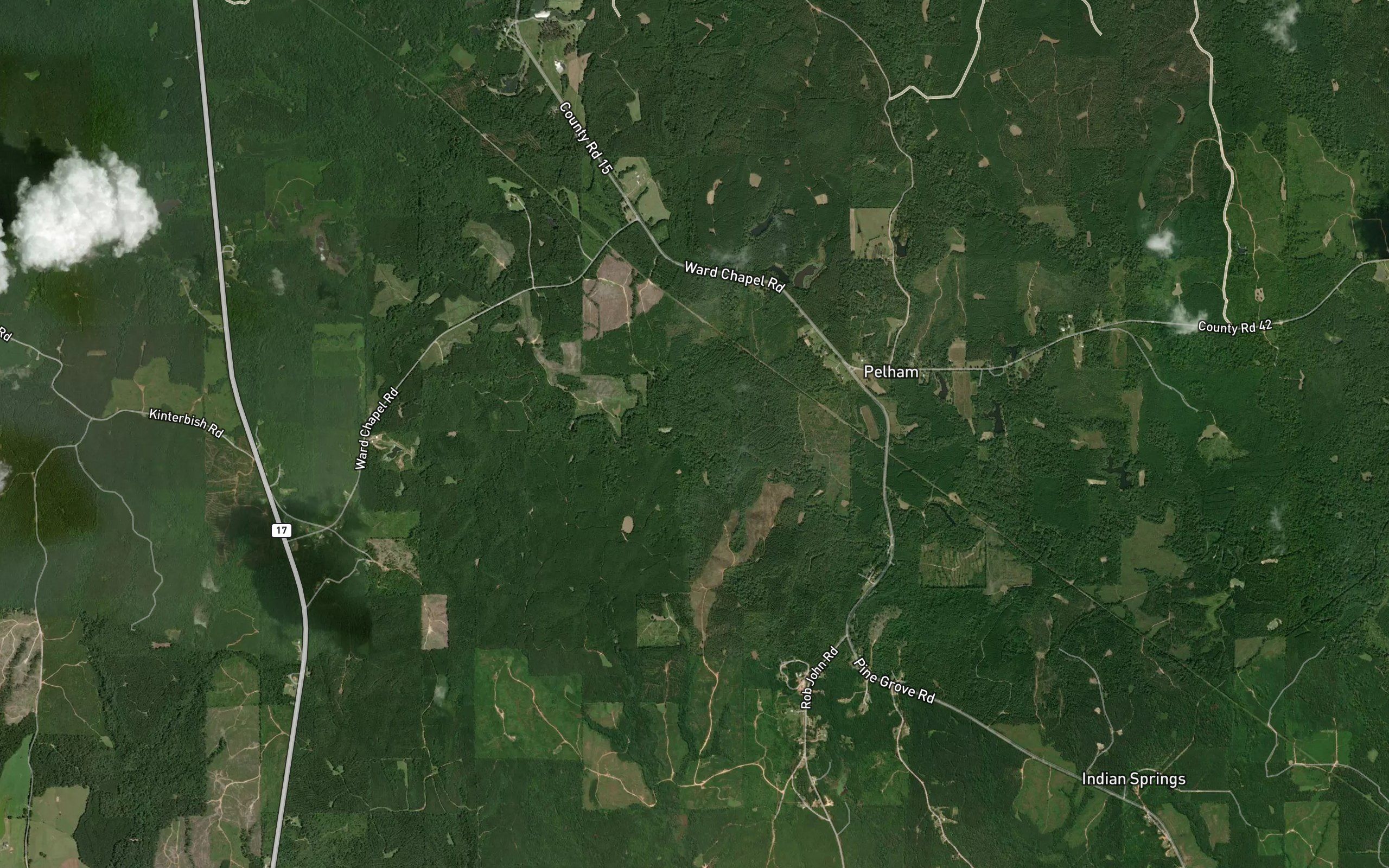Burnam Branch