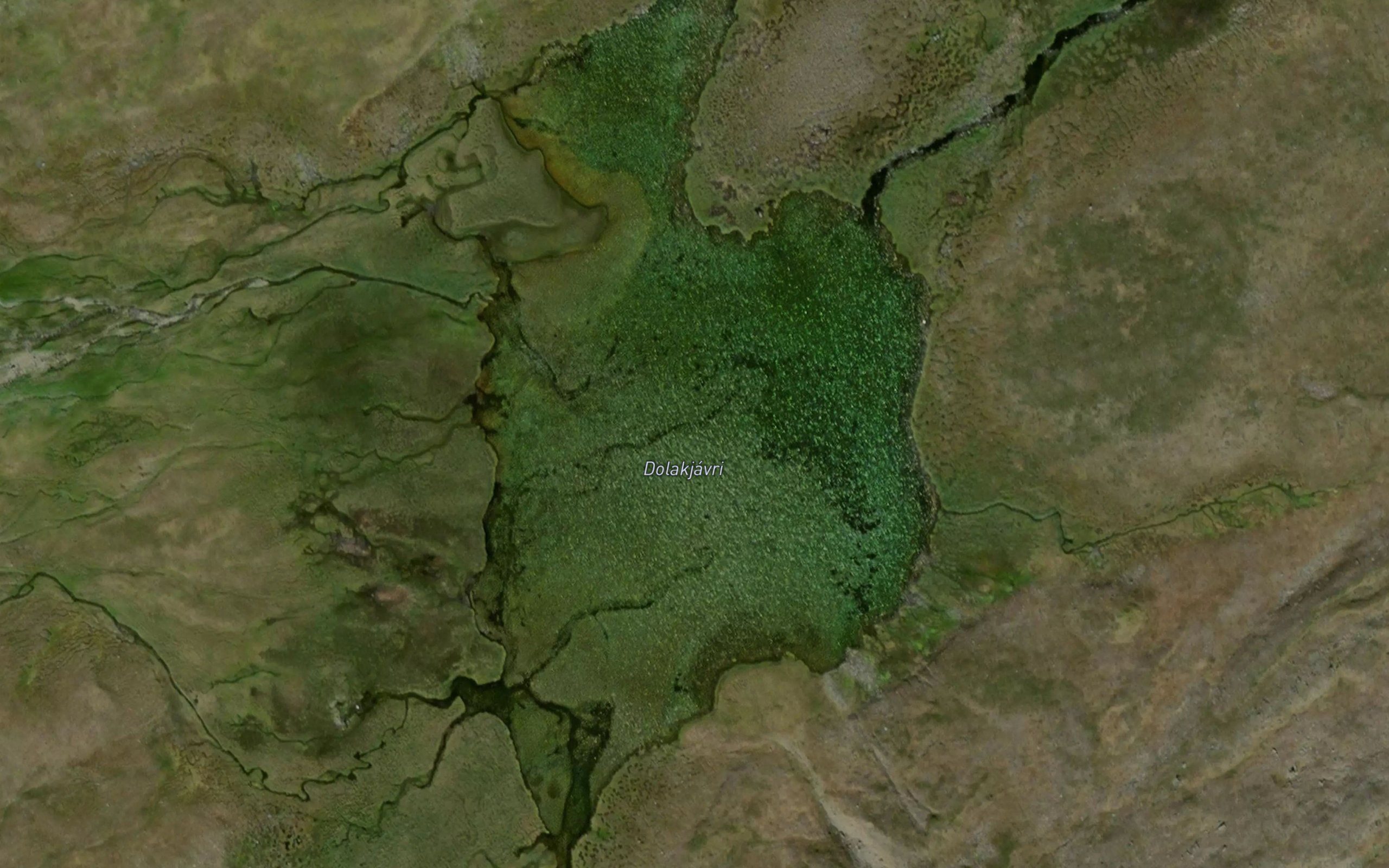 Dolakjavri