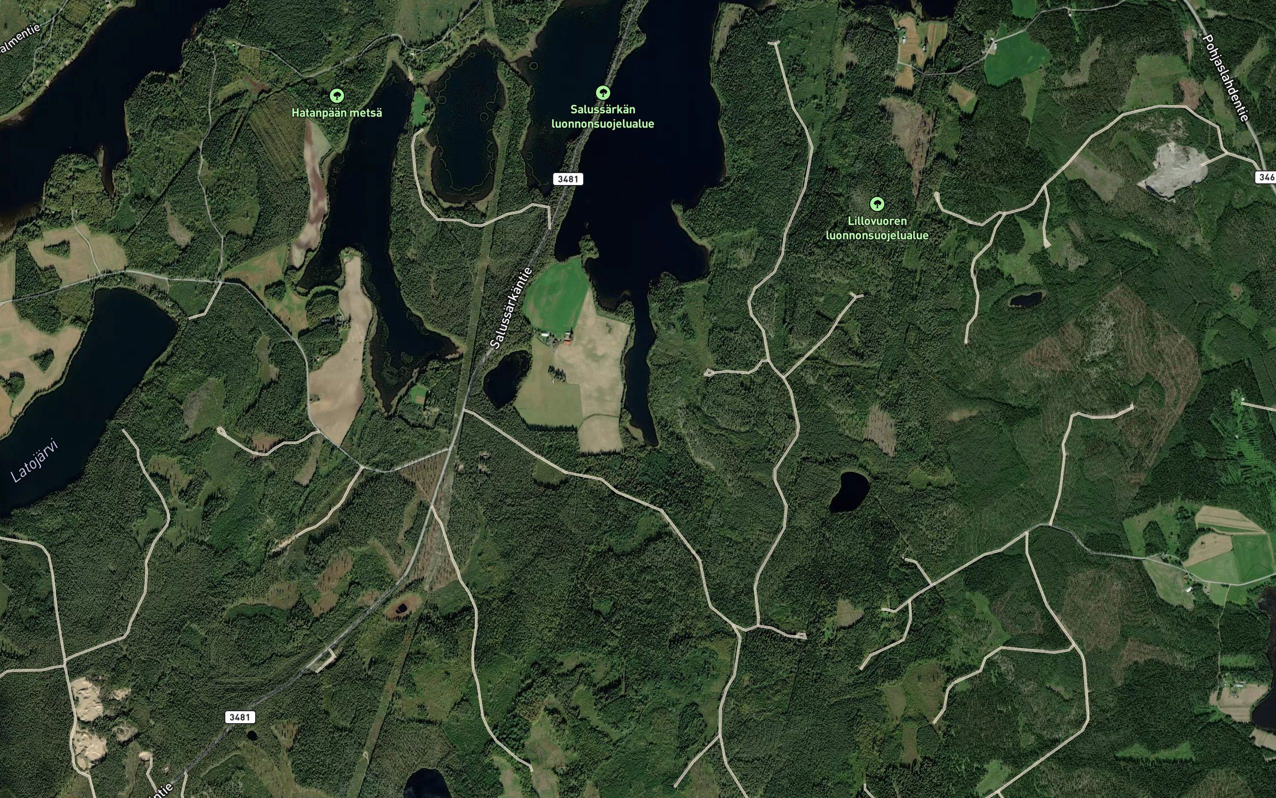 Koivulahti
