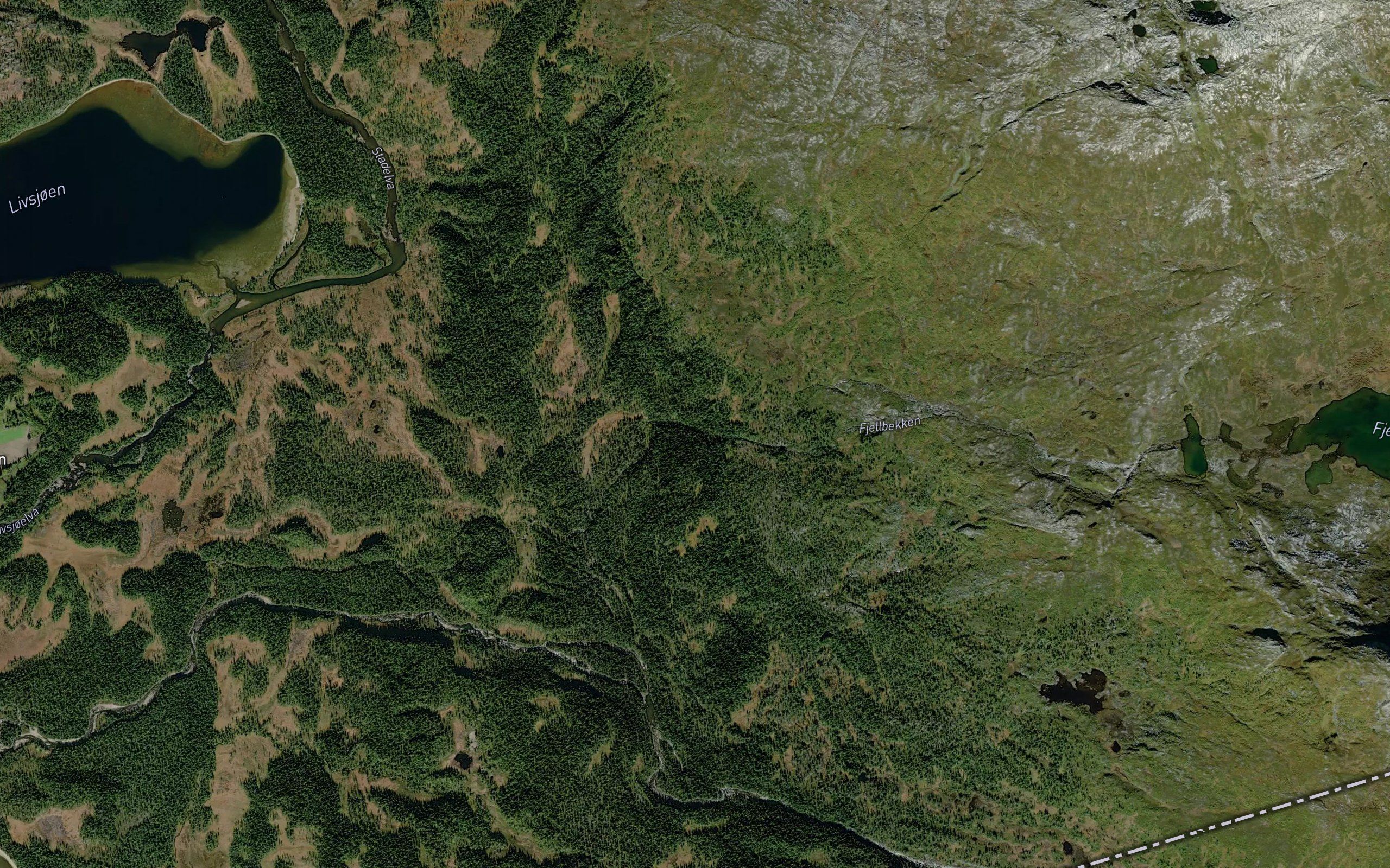 Fjellbekken