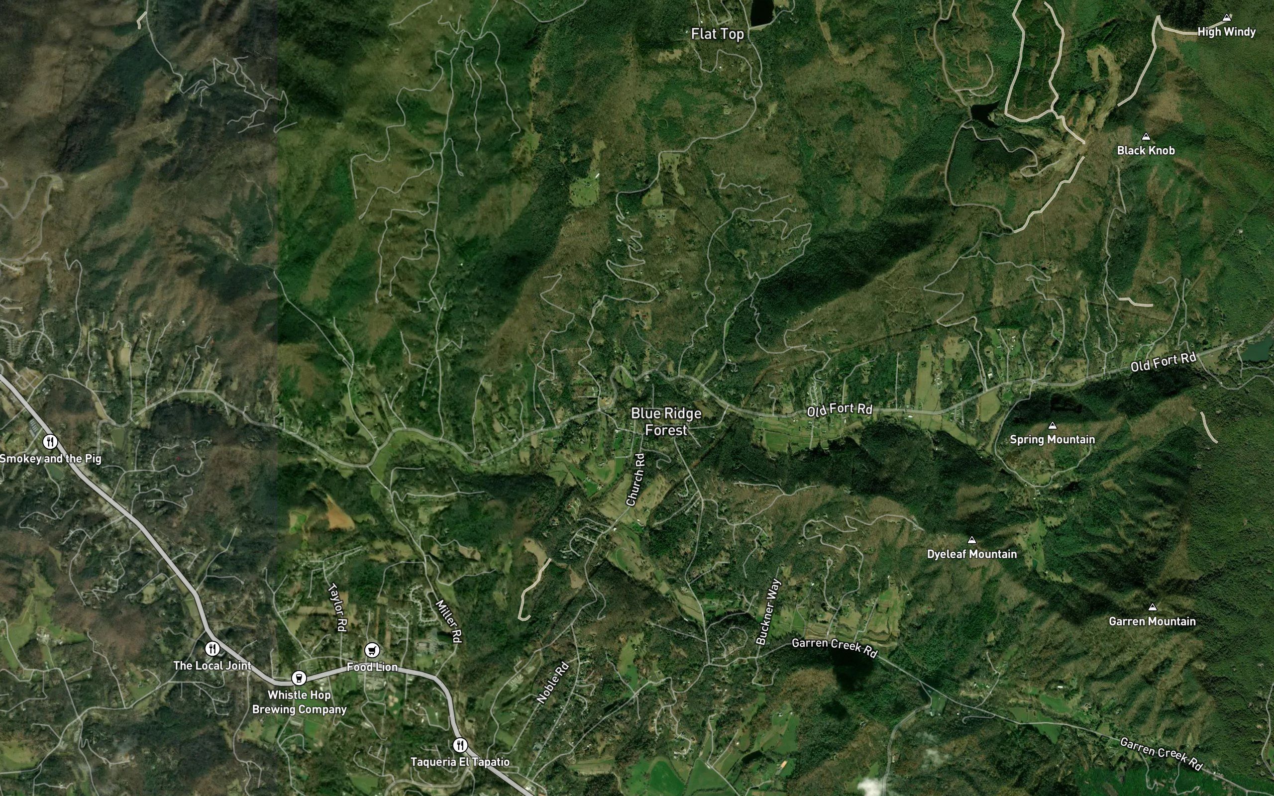 Laurel Branch