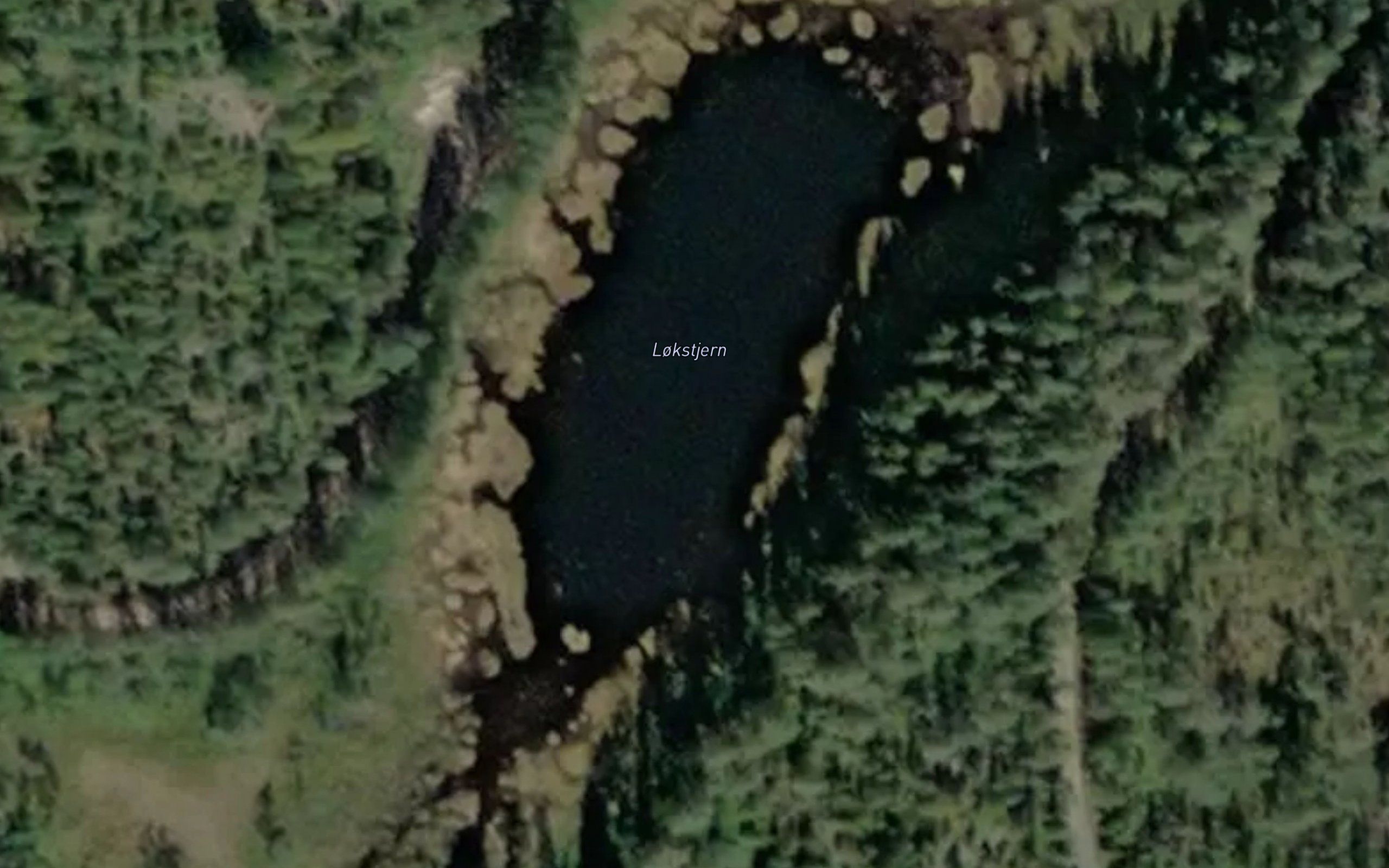 Lokstjern