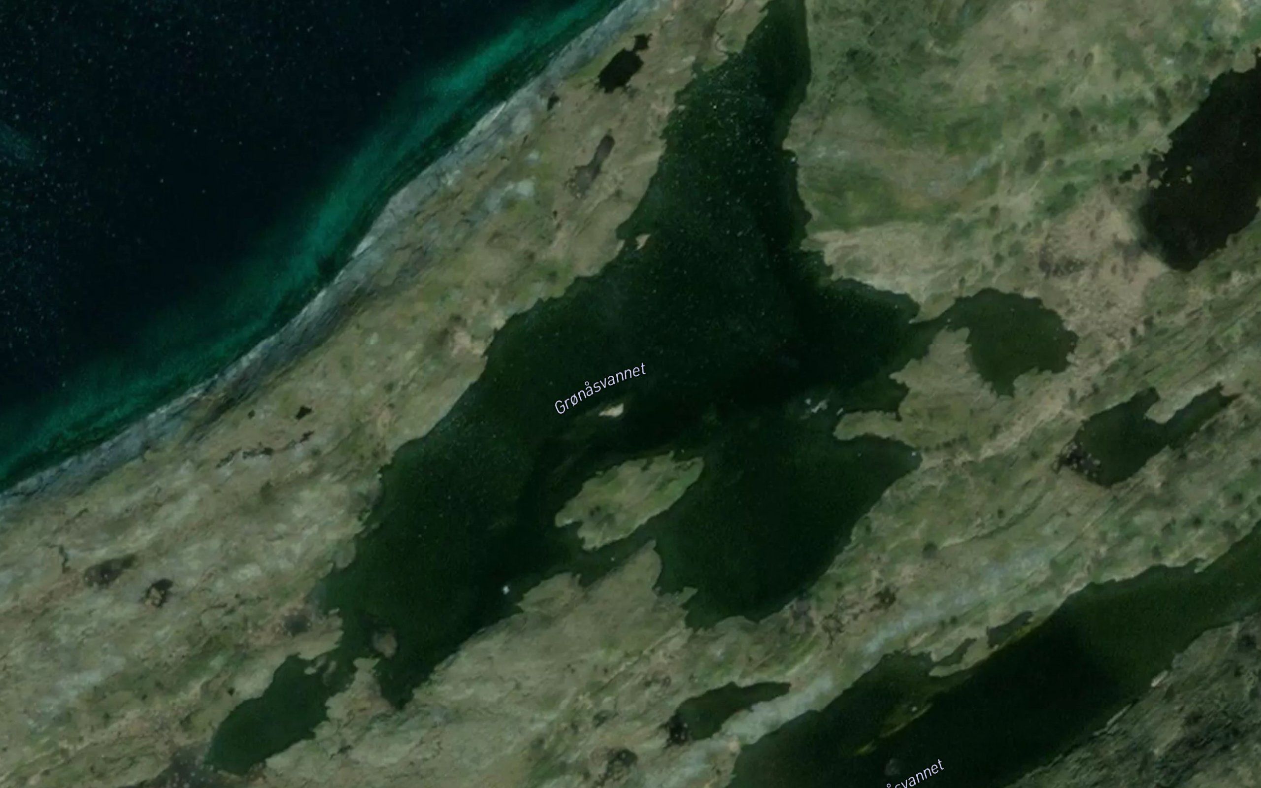 Gronasvannet