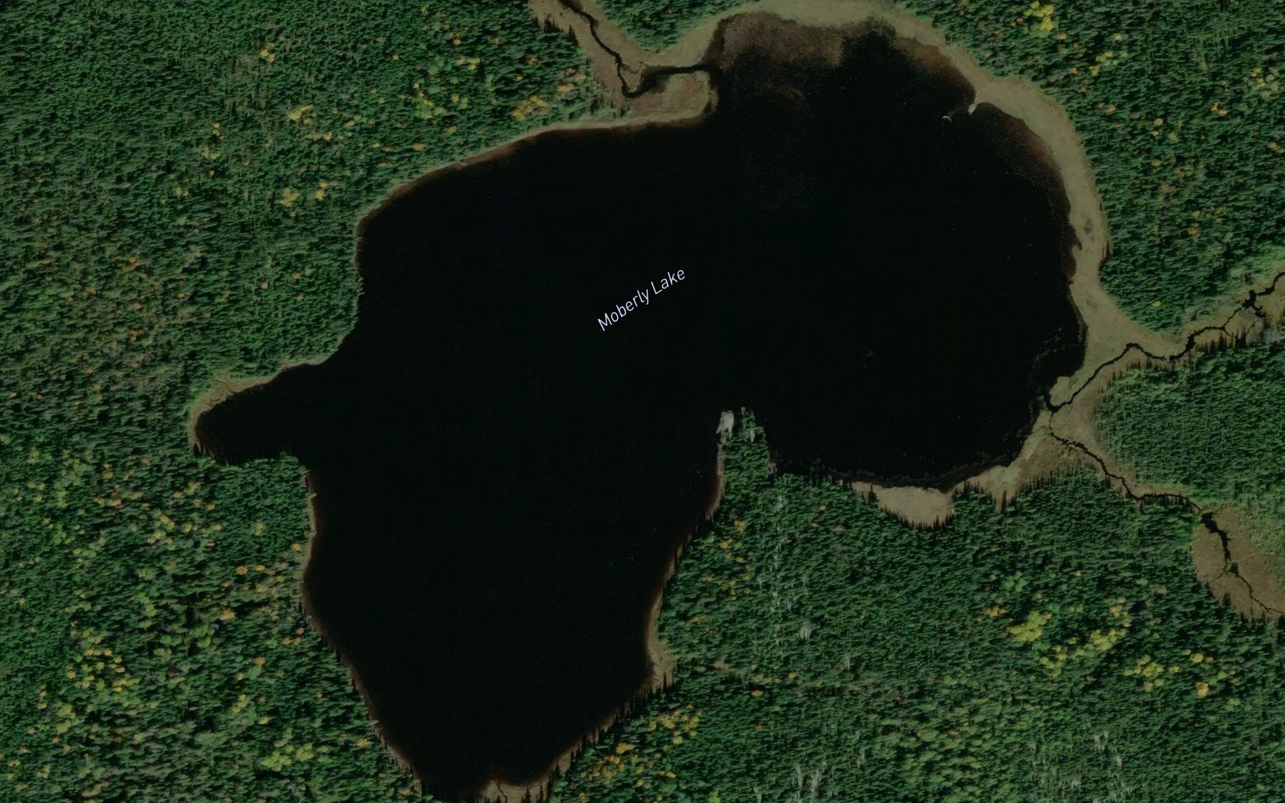 Moberly Lake