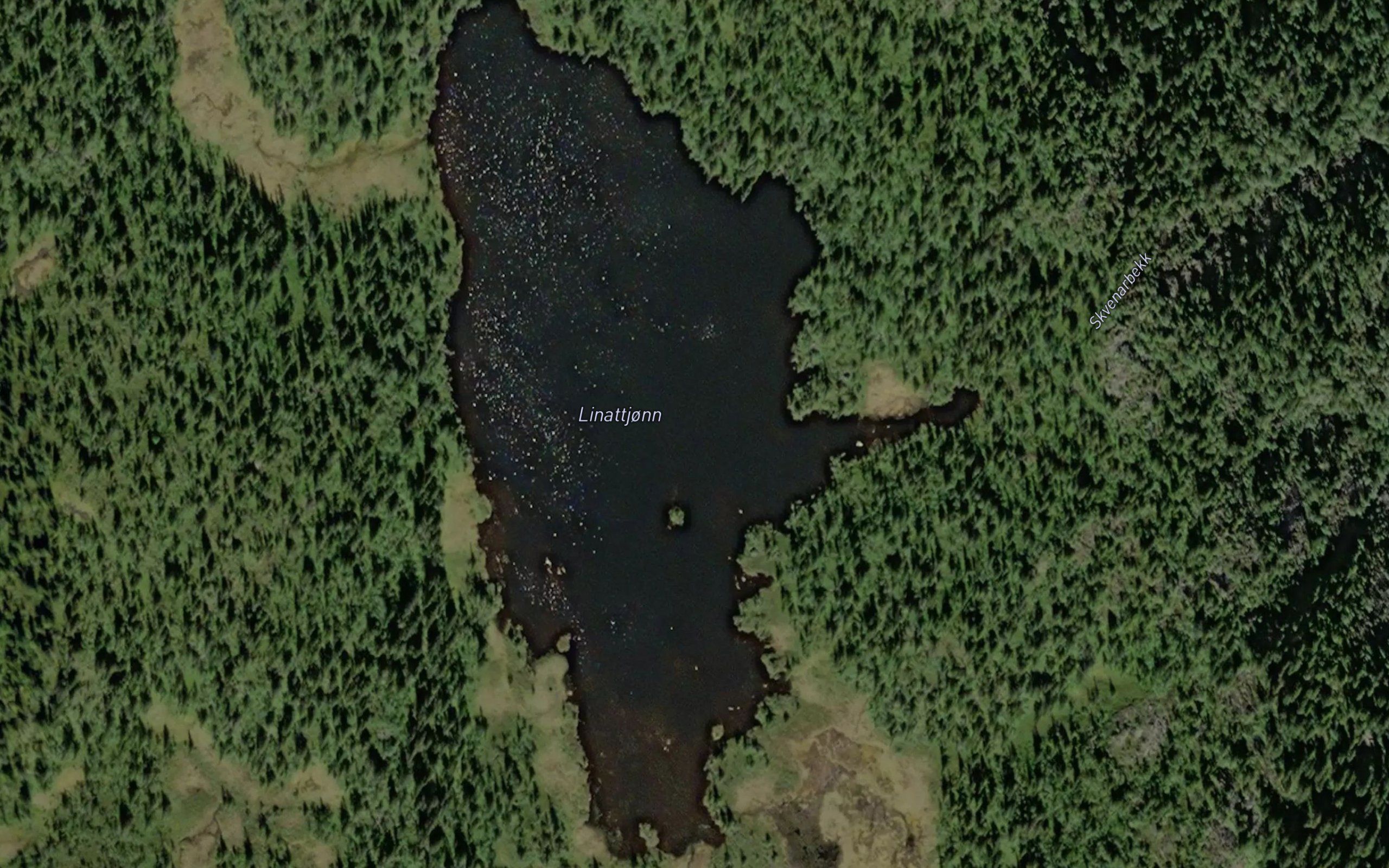 Linattjorna