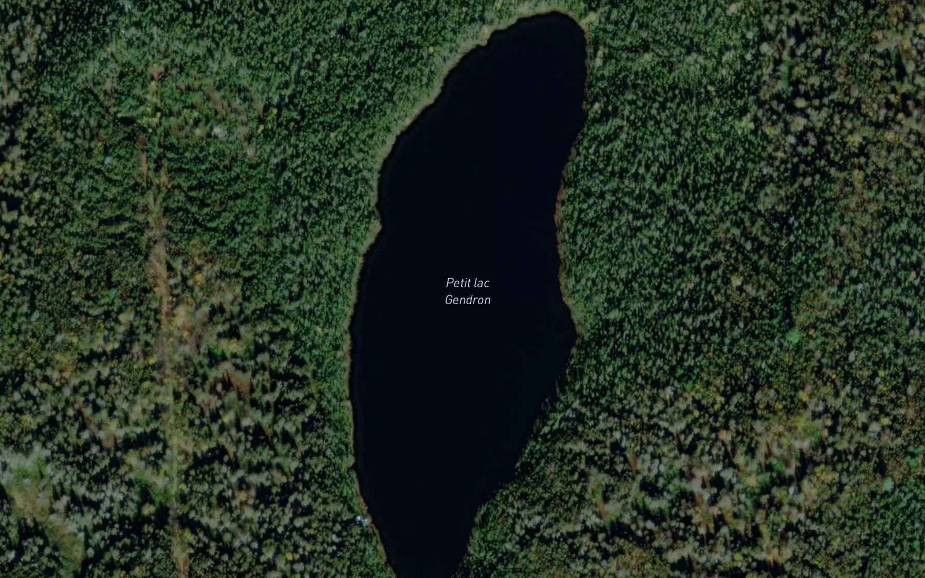 Satellite map of the Petit lac Gendron
