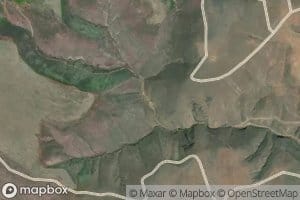 Laufer Spring