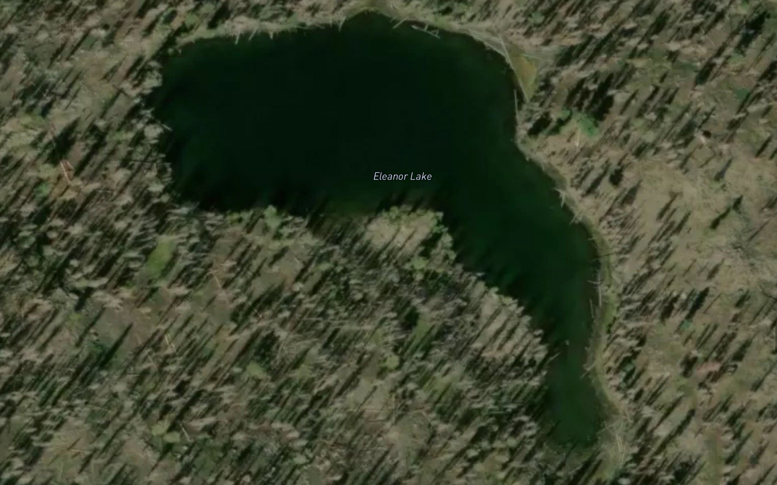 Eleanor Lake