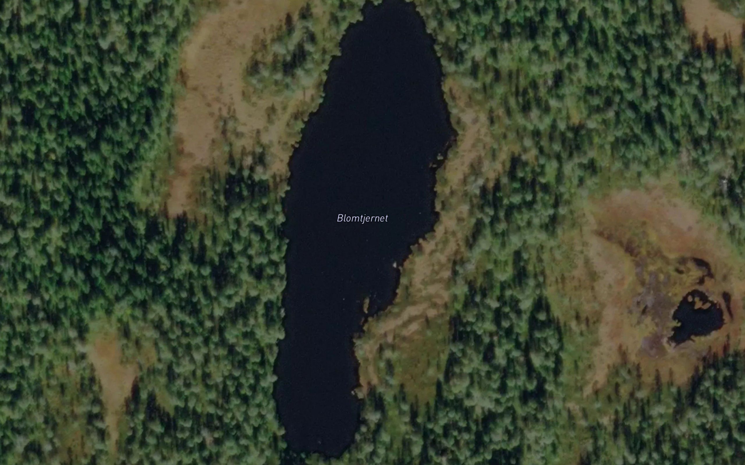 Blomtjernet