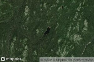 Lac Forest