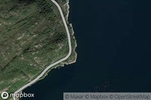 Traesvika