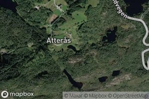 Masstjorna