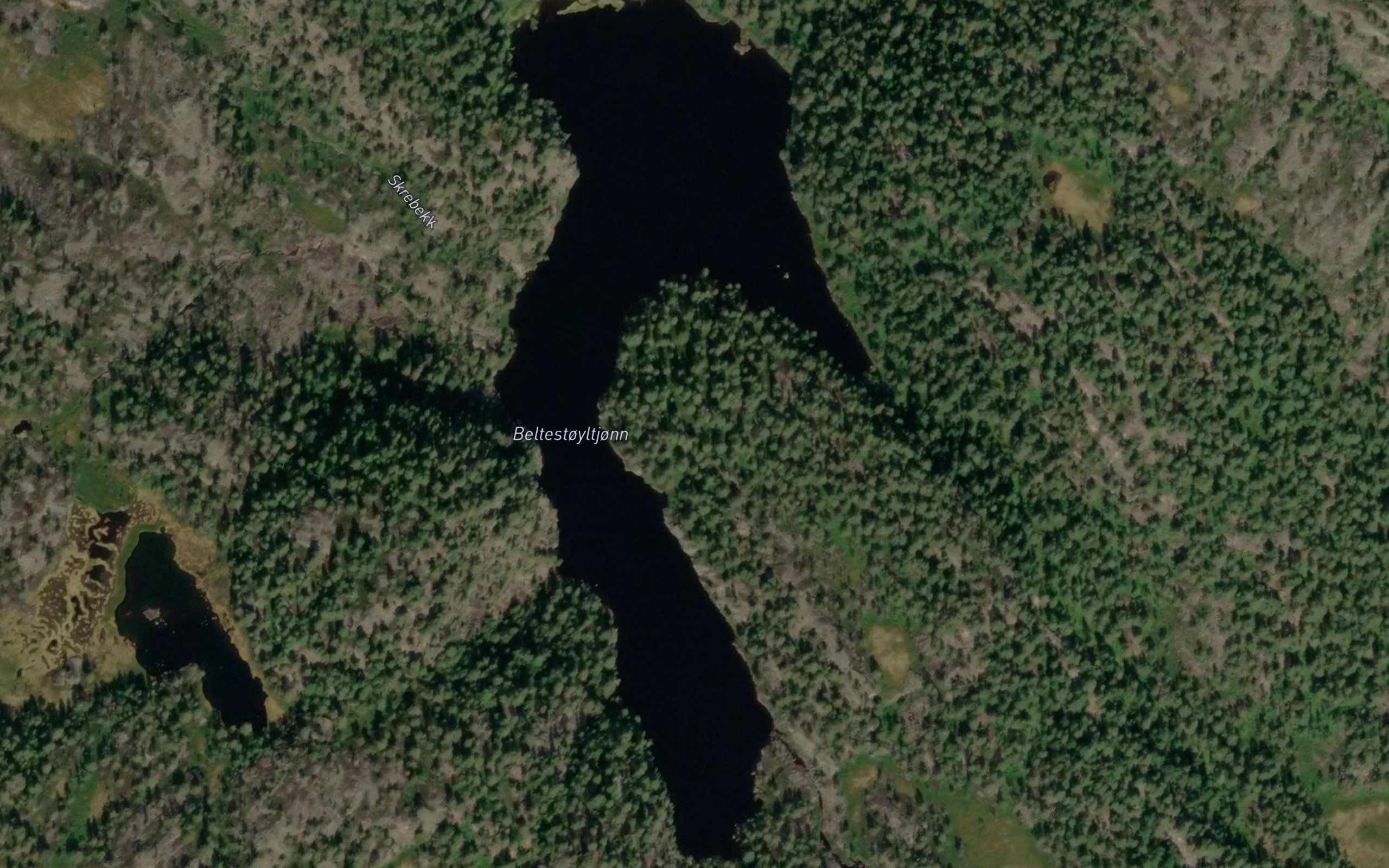 Beltestoyltjorn