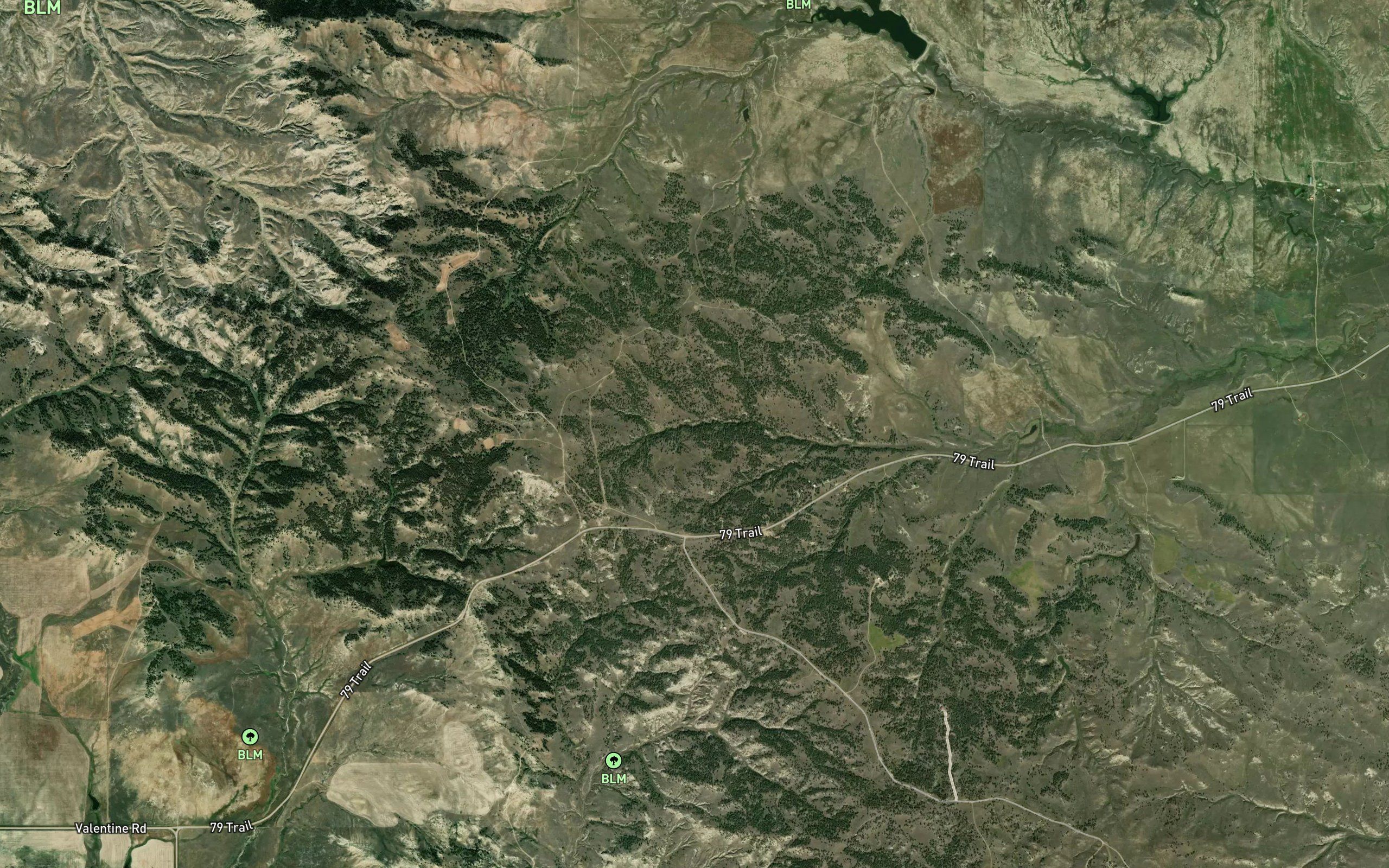 Valentine Springs