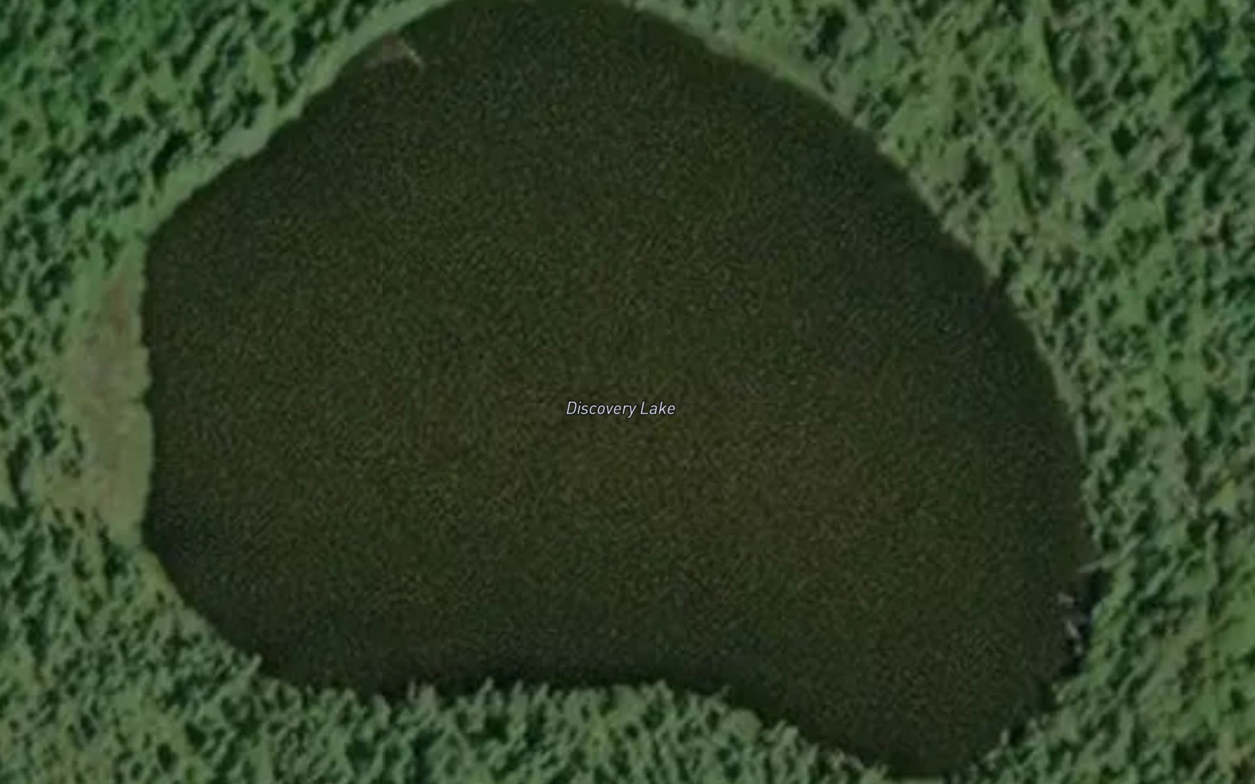 Satellite map of the Discovery Lake