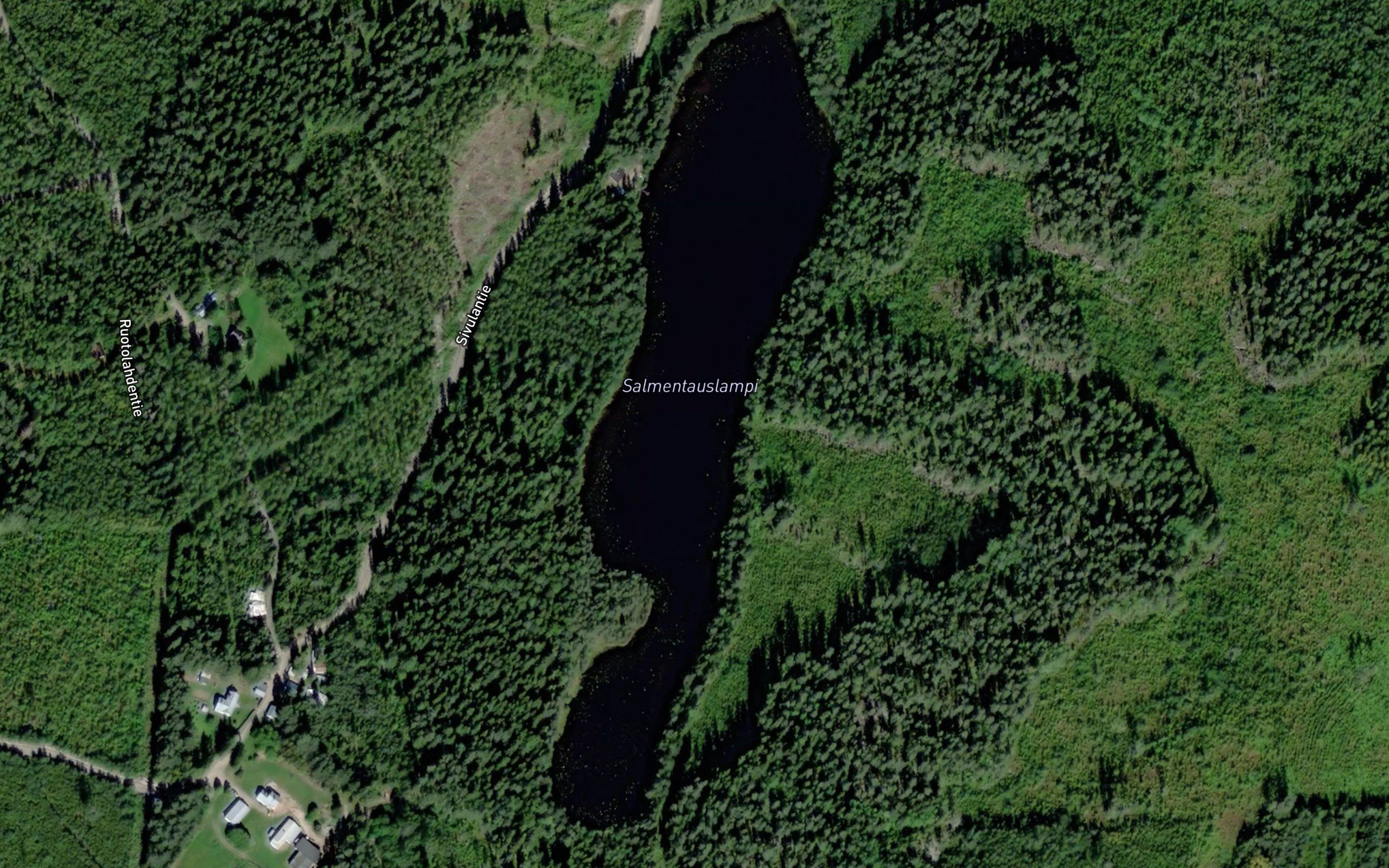 Salmentauslampi